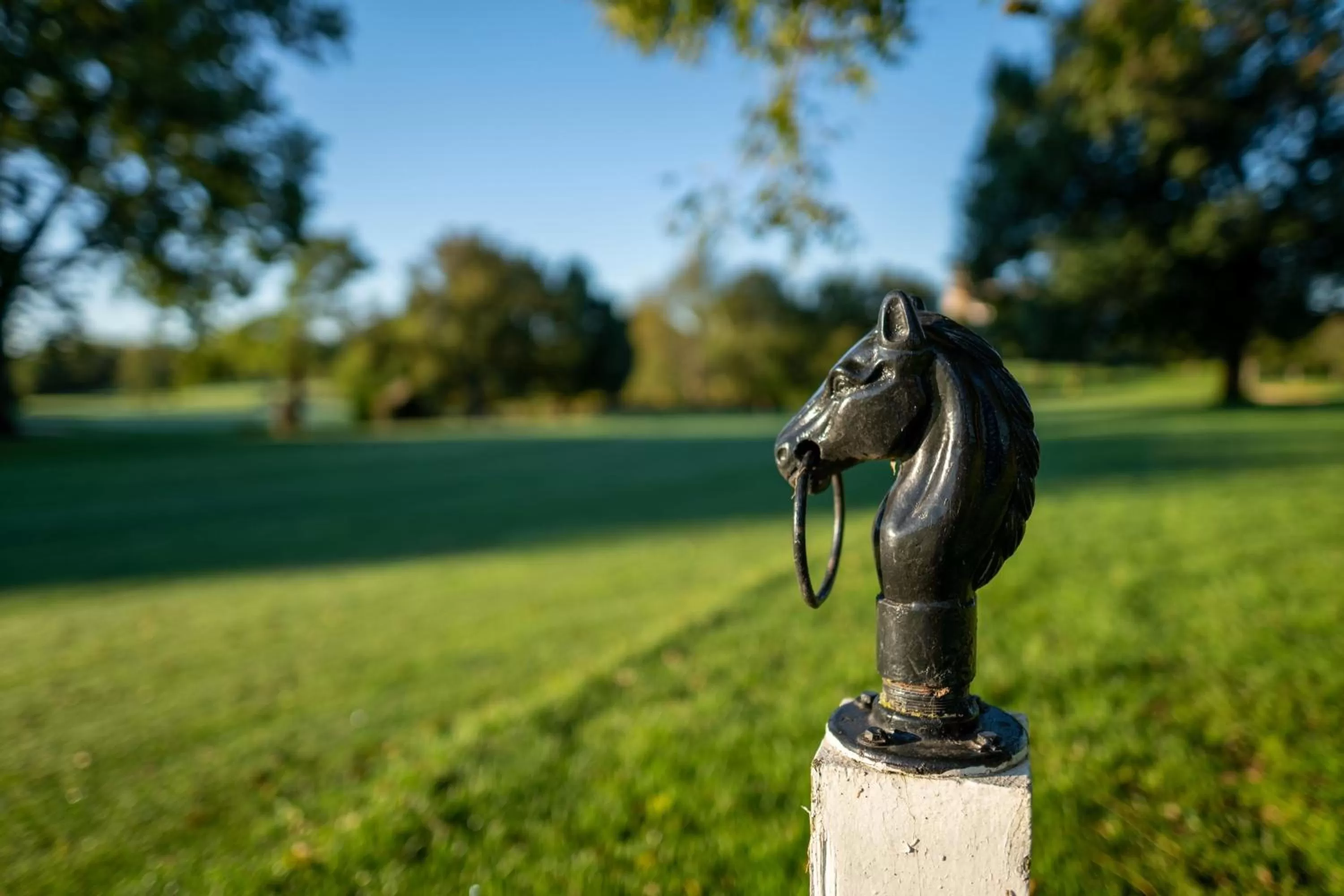 Other in Marriott Lexington Griffin Gate Golf Resort & Spa