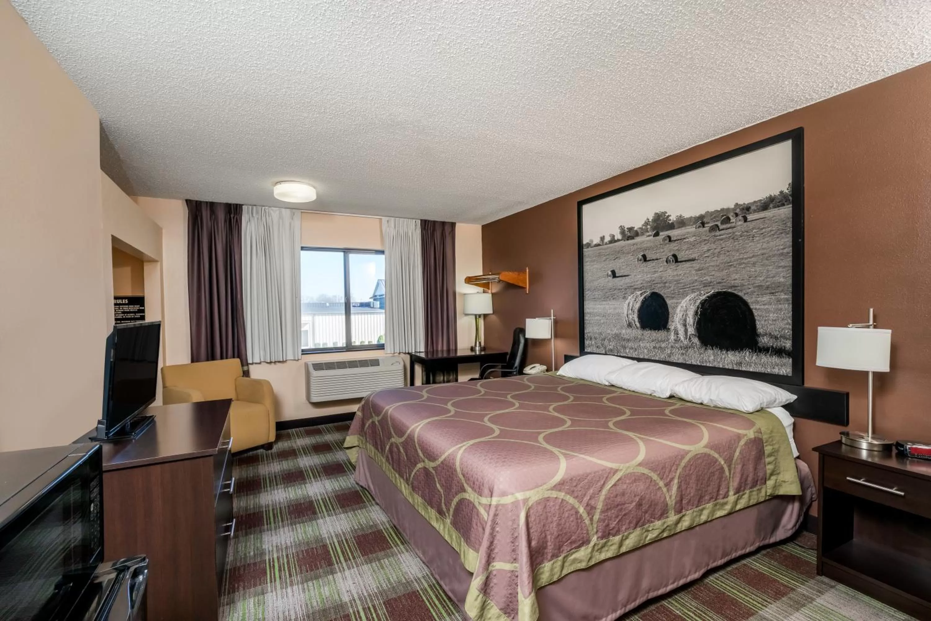 Bed in Super 8 by Wyndham Campbellsville KY