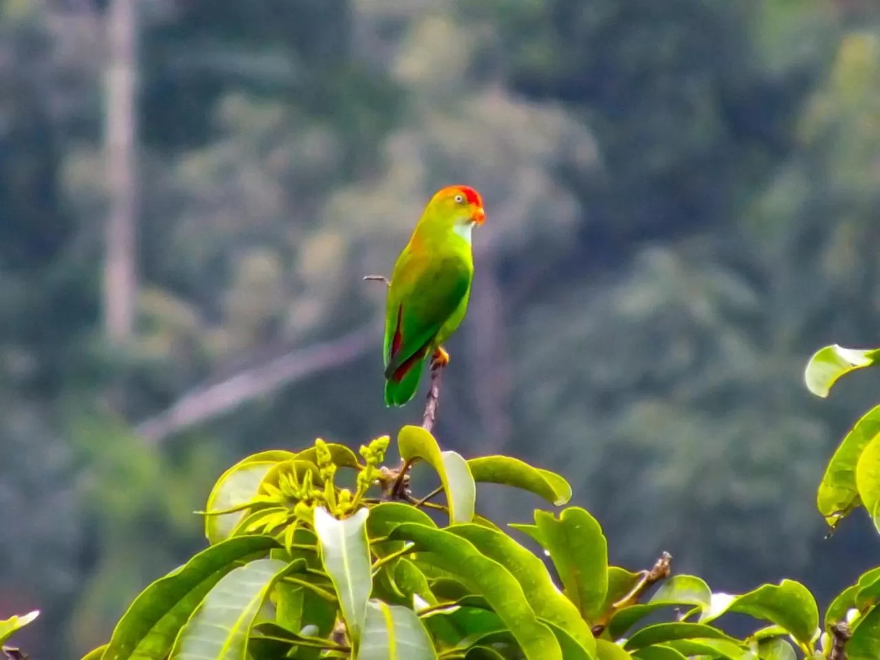 Natural landscape in Blue Ribbon Homestay