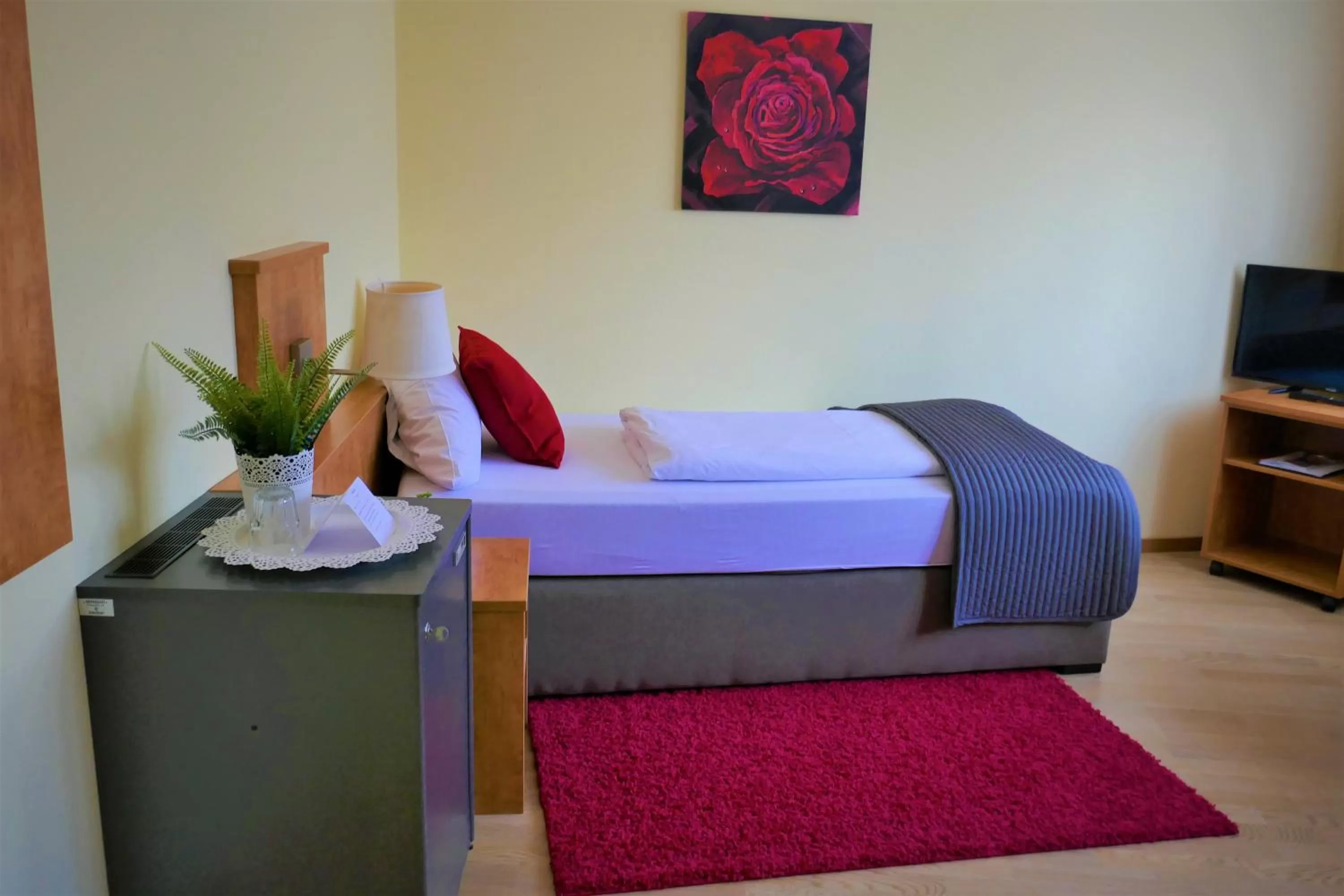 Single Room with Private Bathroom in Hotel Bischoff