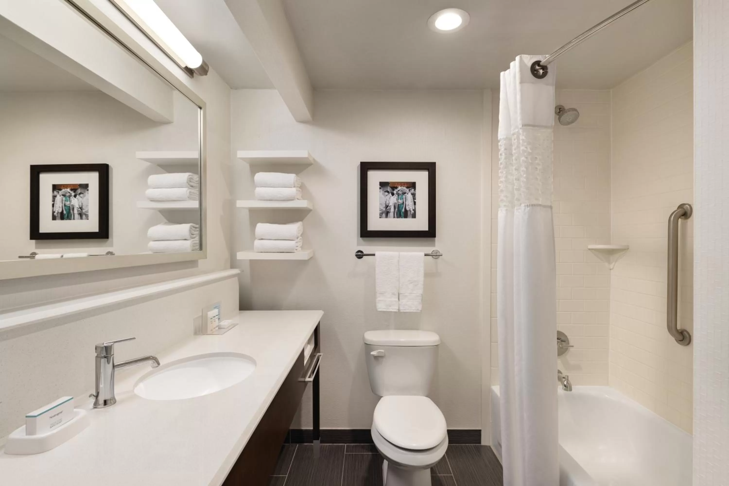 Bathroom in Hampton Inn and Suites New Orleans Convention Center