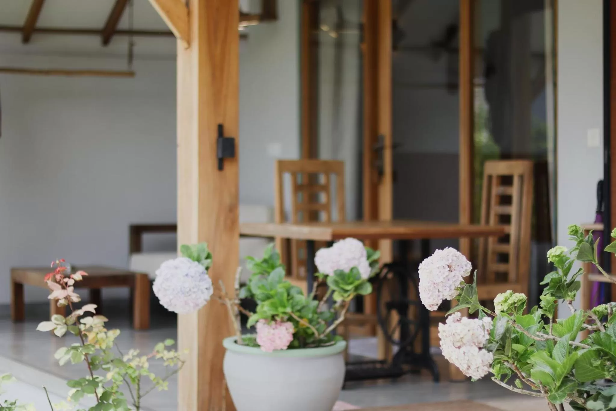 Garden in The One Ella