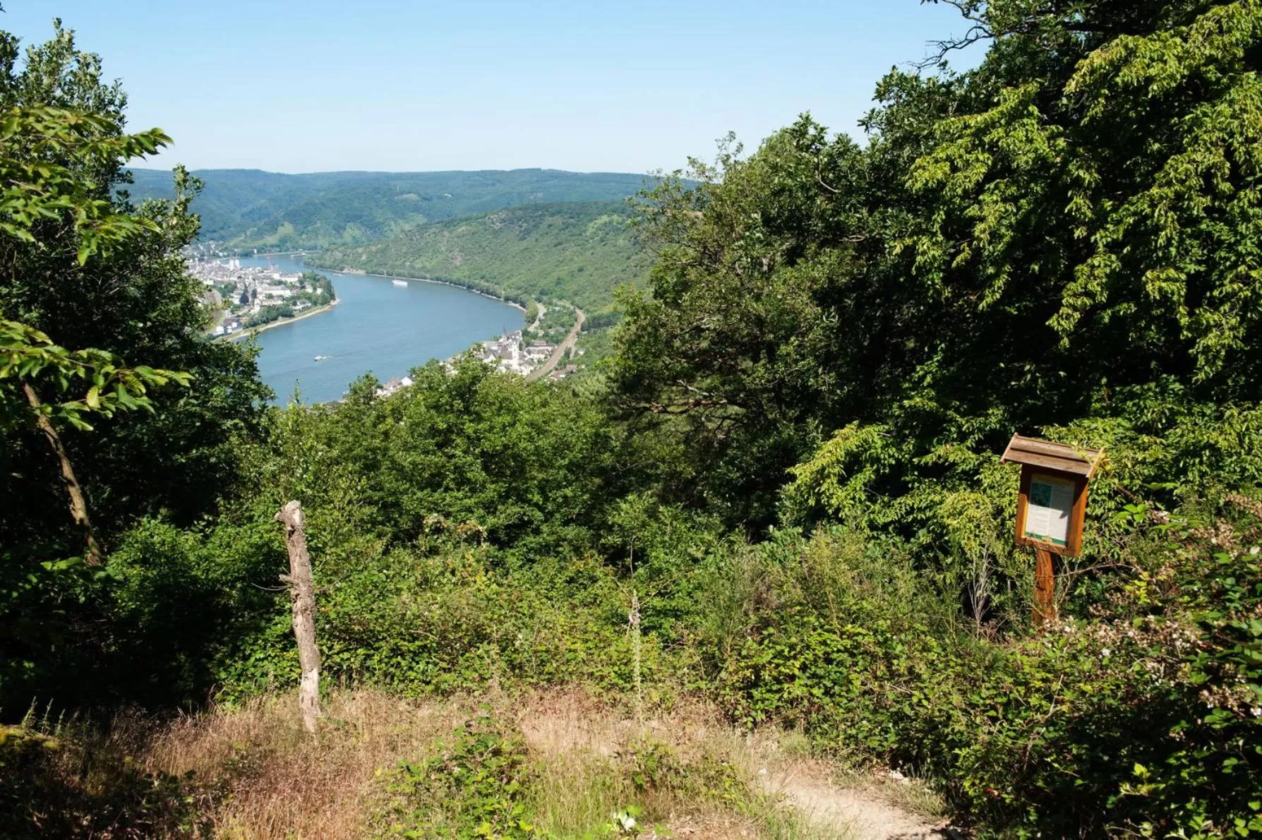 View (from property/room) in Hotel im Rheintal