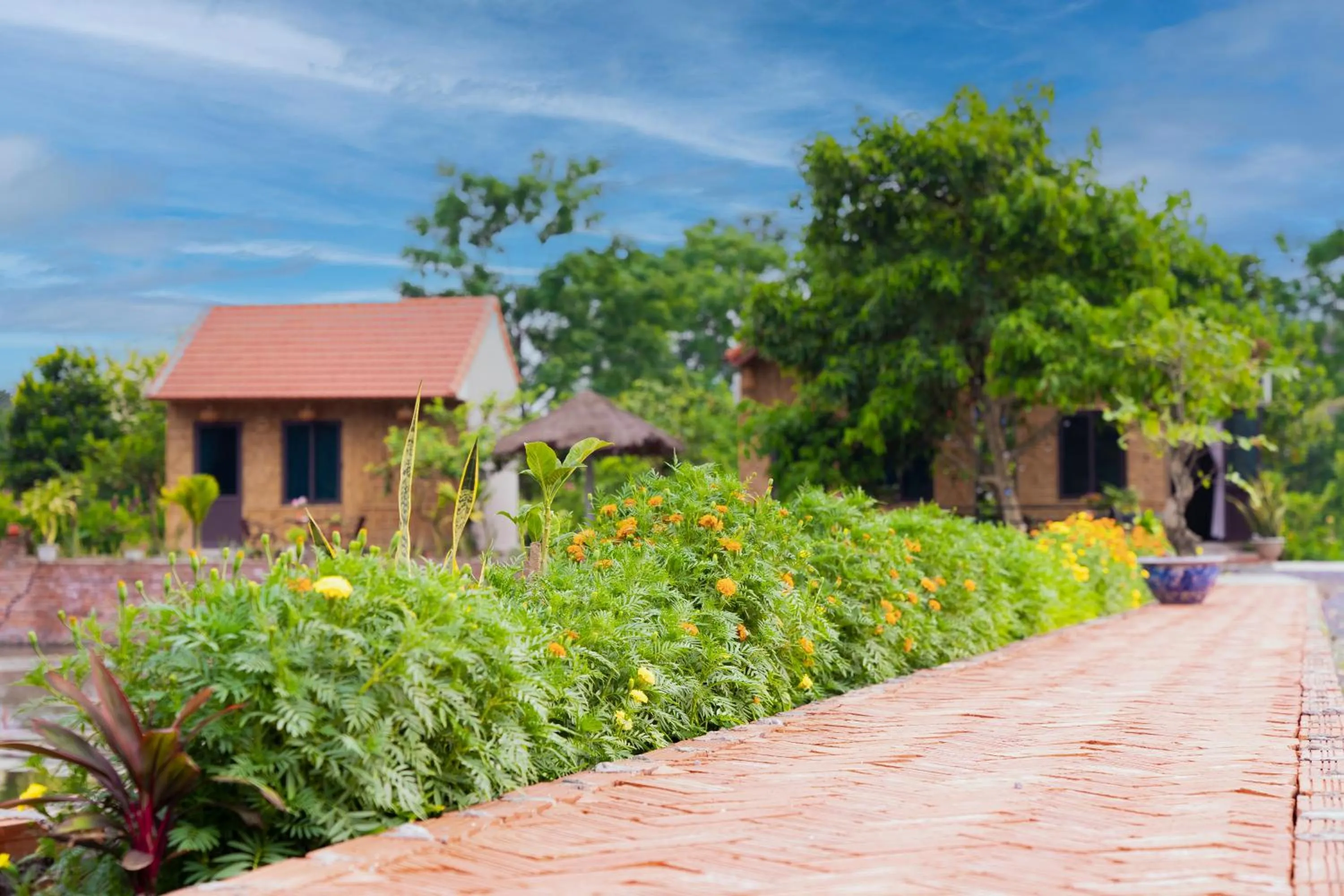Day in Tam Coc Cat Luong Homestay