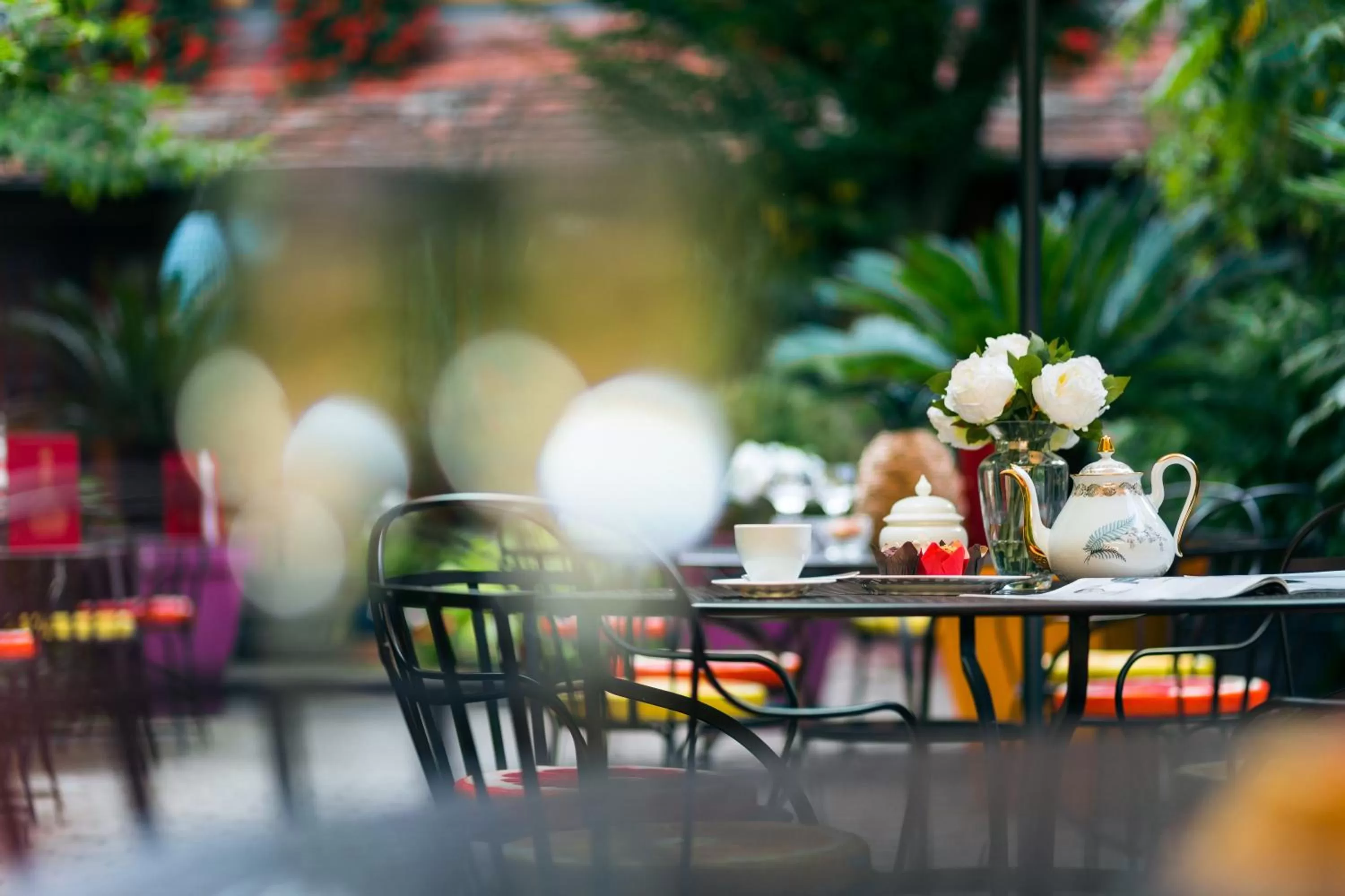Garden in Hôtel des Deux Clefs