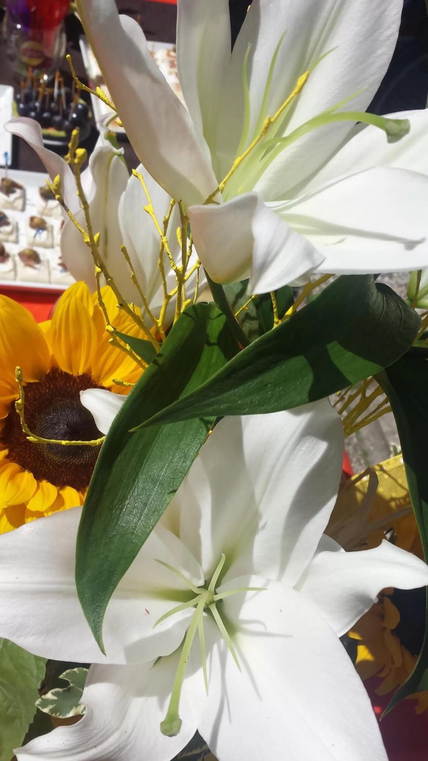 Garden in Hotel Amicizia