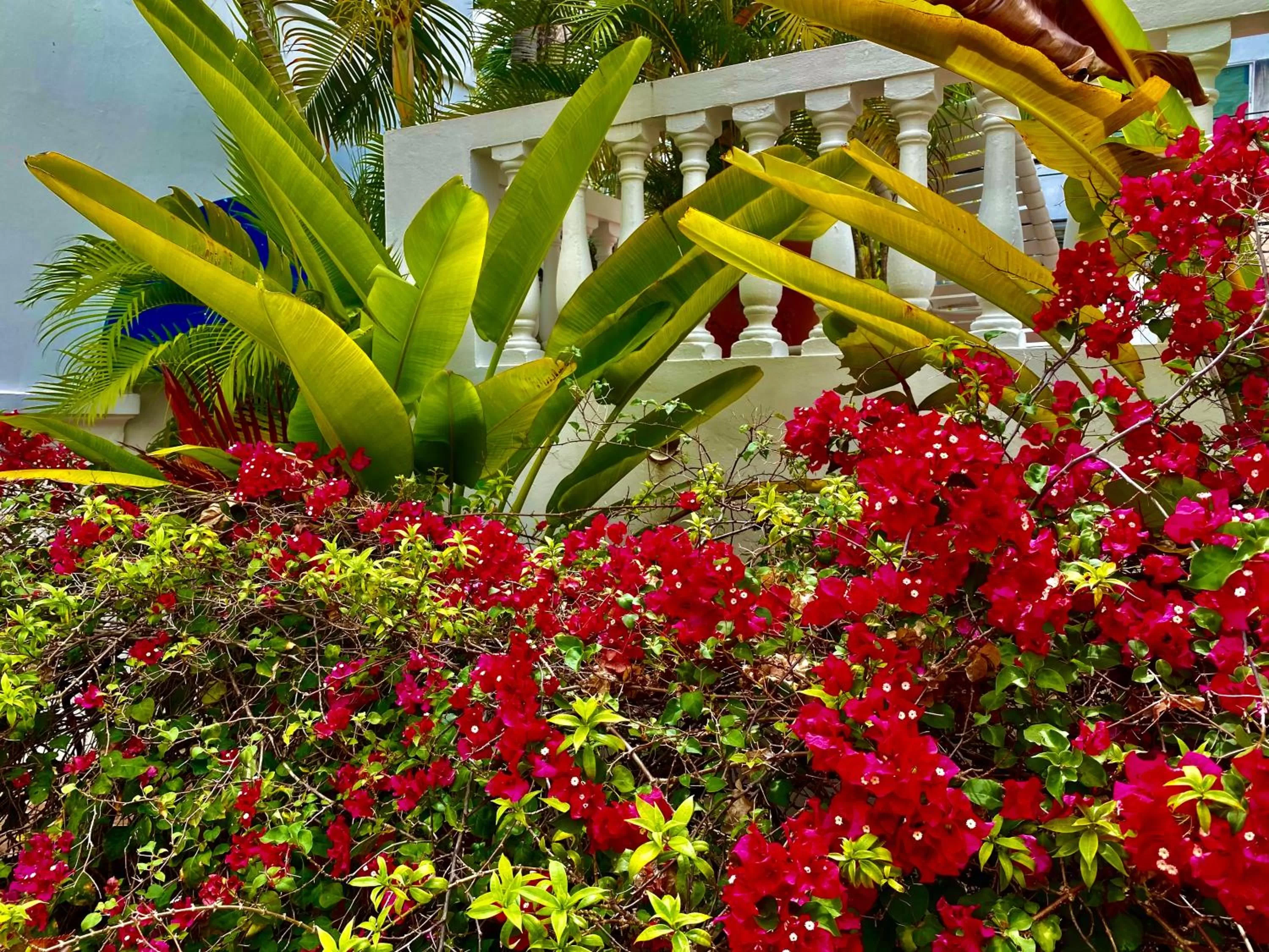 Decorative detail in At Wind Chimes Boutique Hotel
