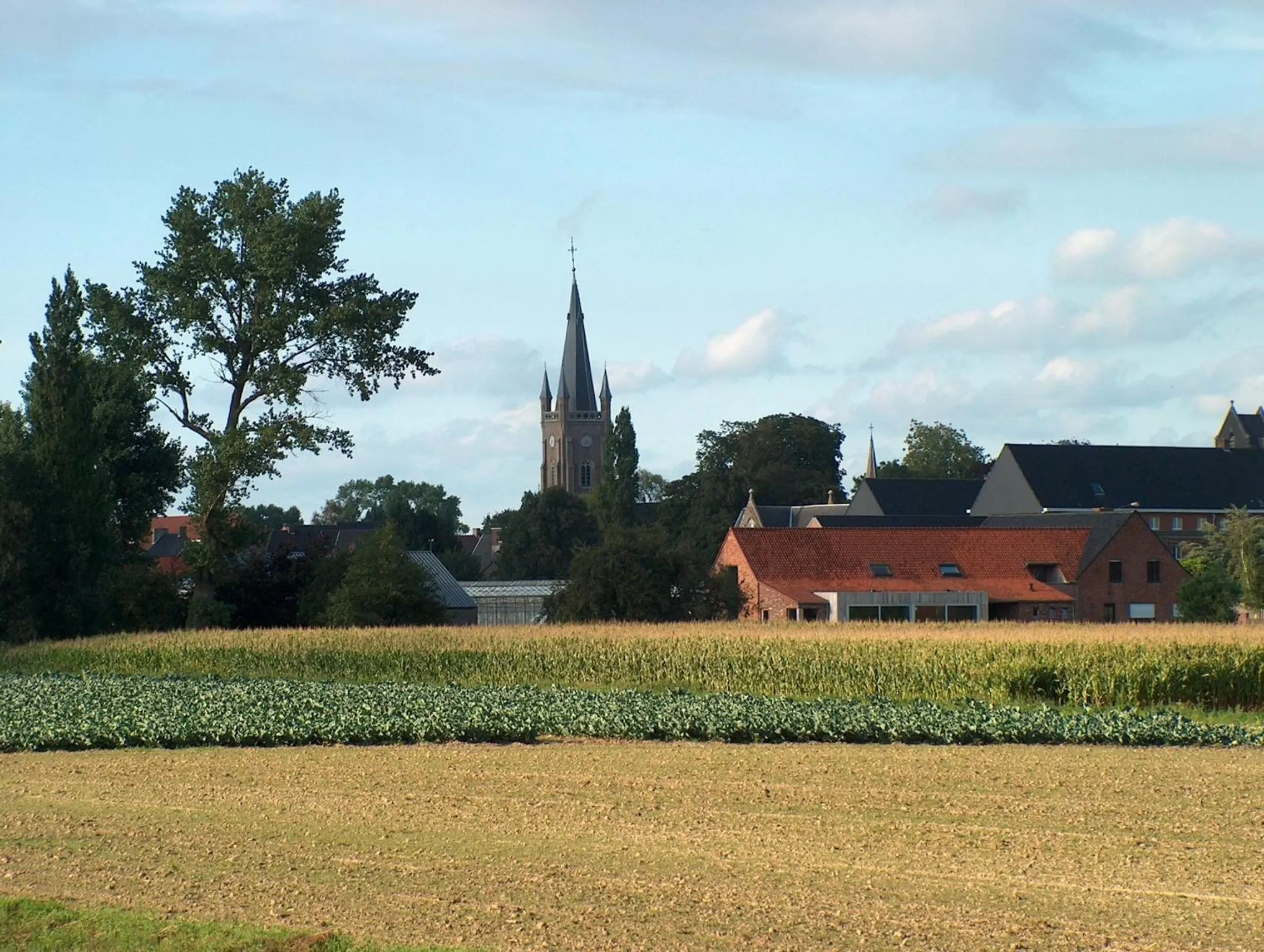 Bird's eye view in Buytenshuys