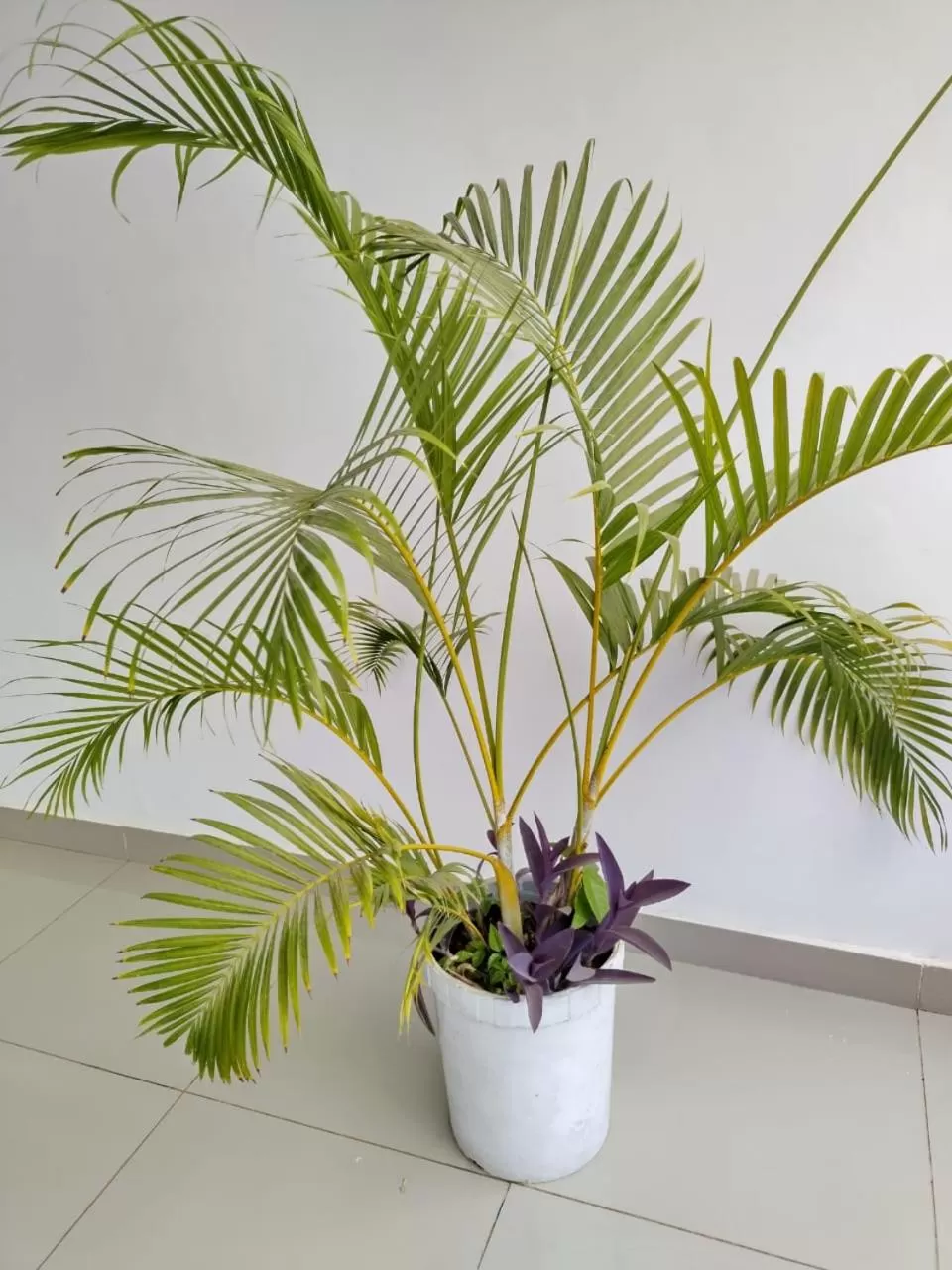 Decorative detail in 6 Park Retreat