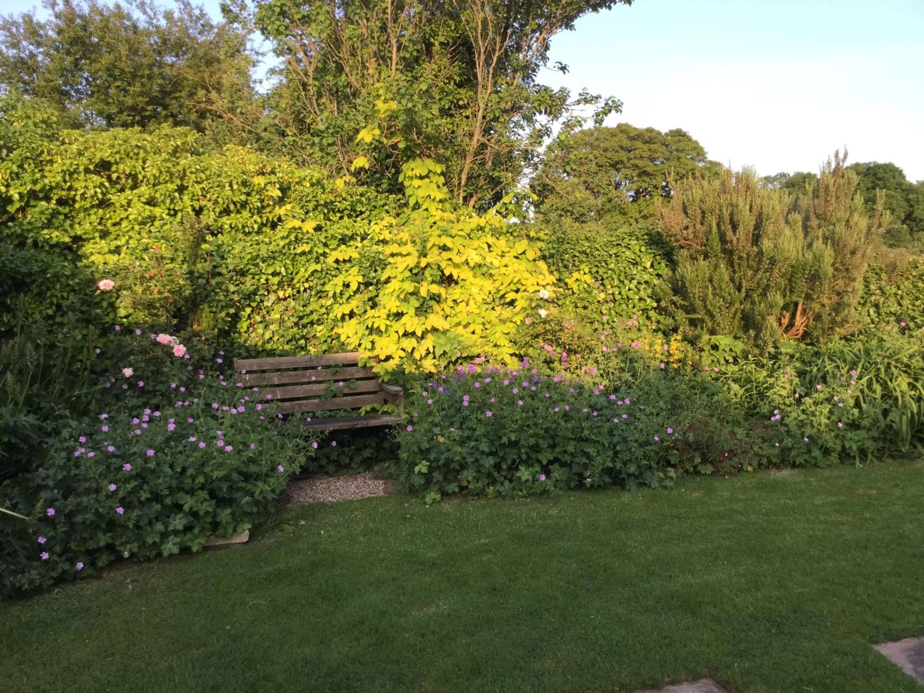 Property building in Steps Farmhouse B&B