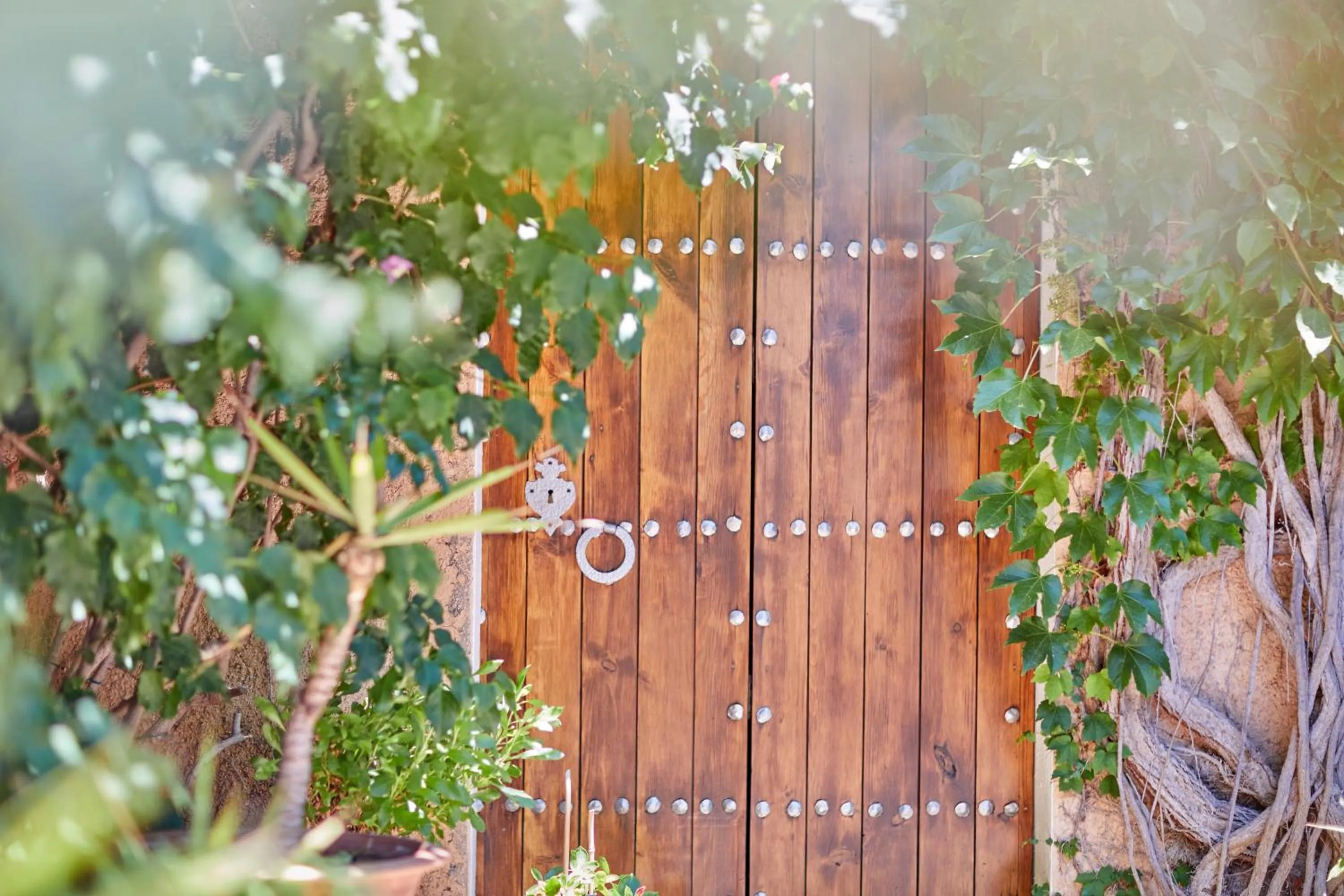 Spring in Petit Hotel Ses Rotges - Only Adults