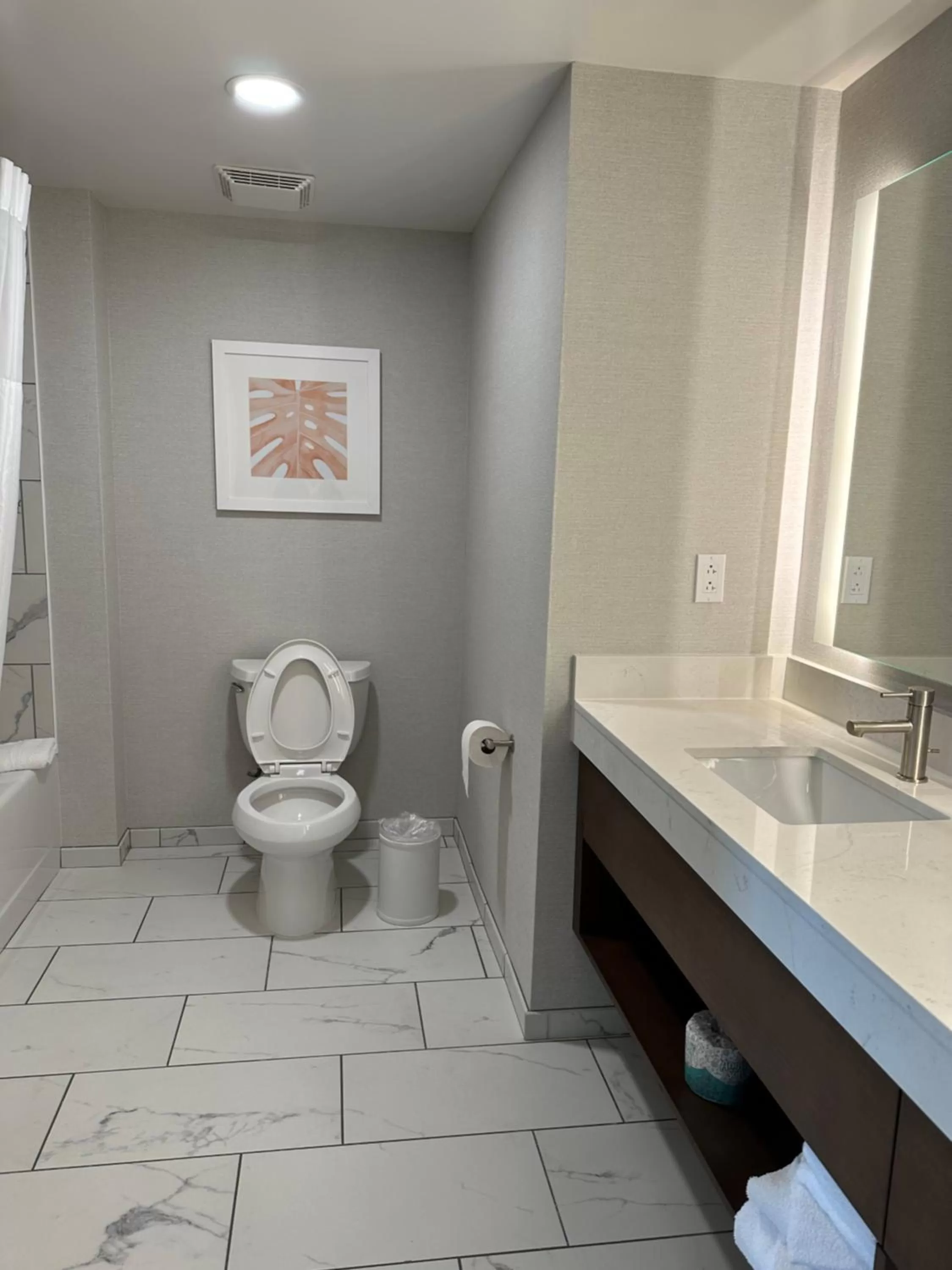 Toilet in Hampton Inn Virginia Beach-Oceanfront South