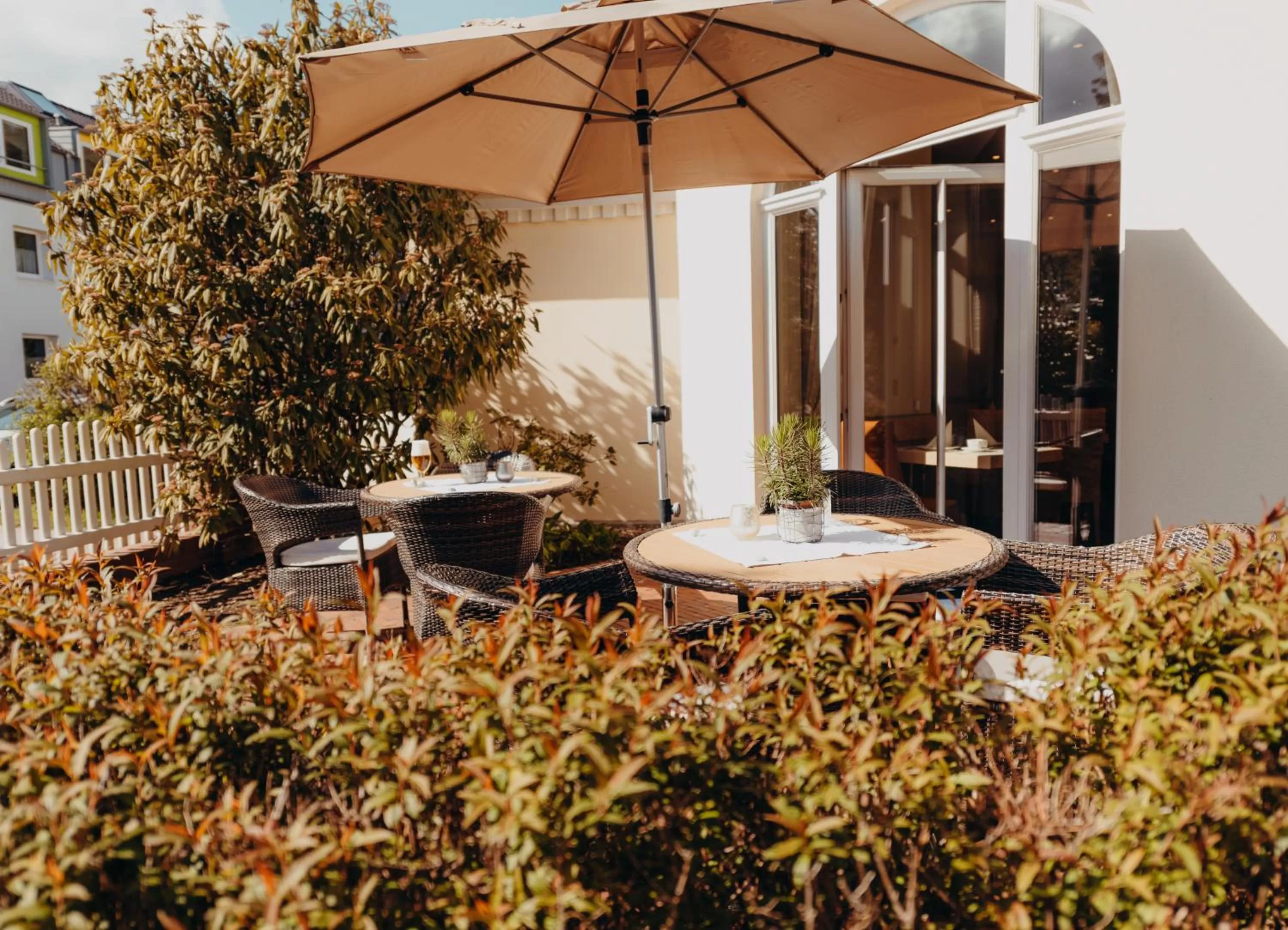 Balcony/Terrace in Hotel Jungclaus
