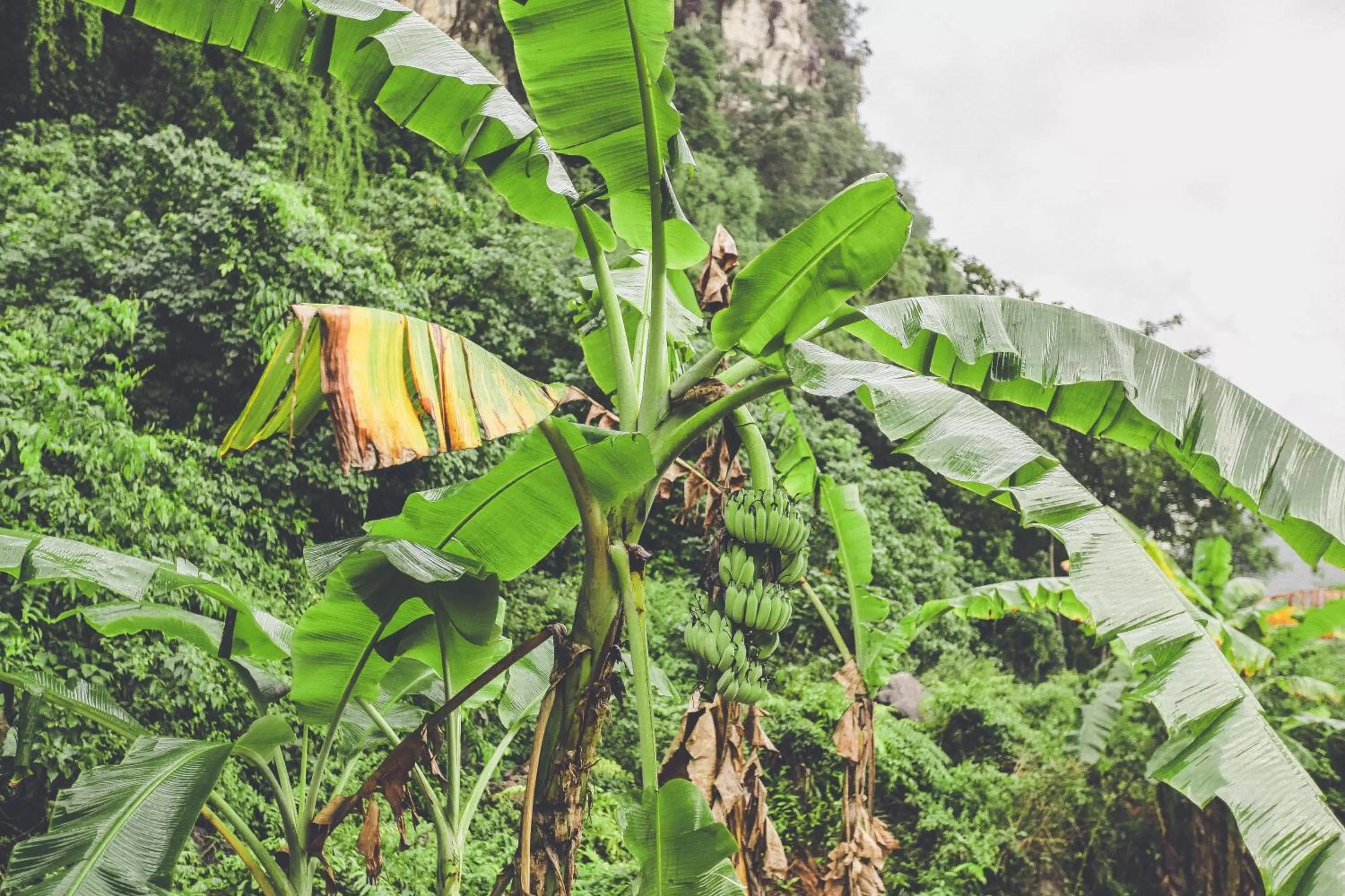 Other in Tam Coc Rice Fields Resort