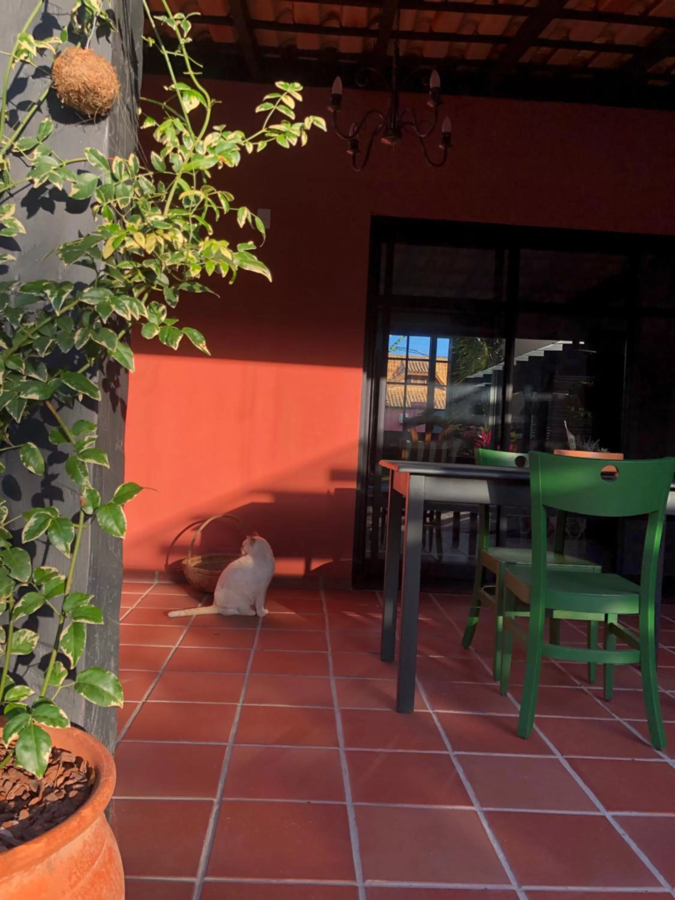 Balcony/Terrace in Janela de Marcia Bed and Breakfast