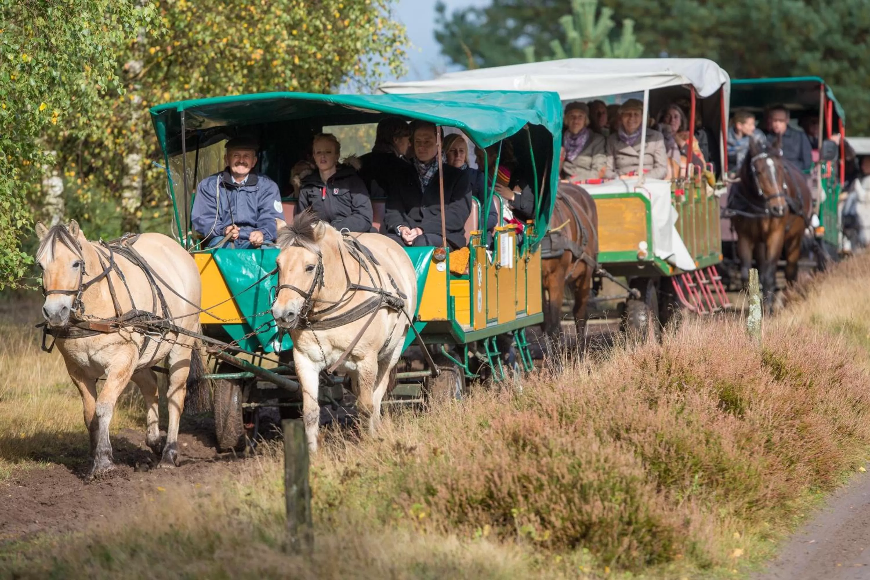 Other in Hotel Hof Sudermühlen