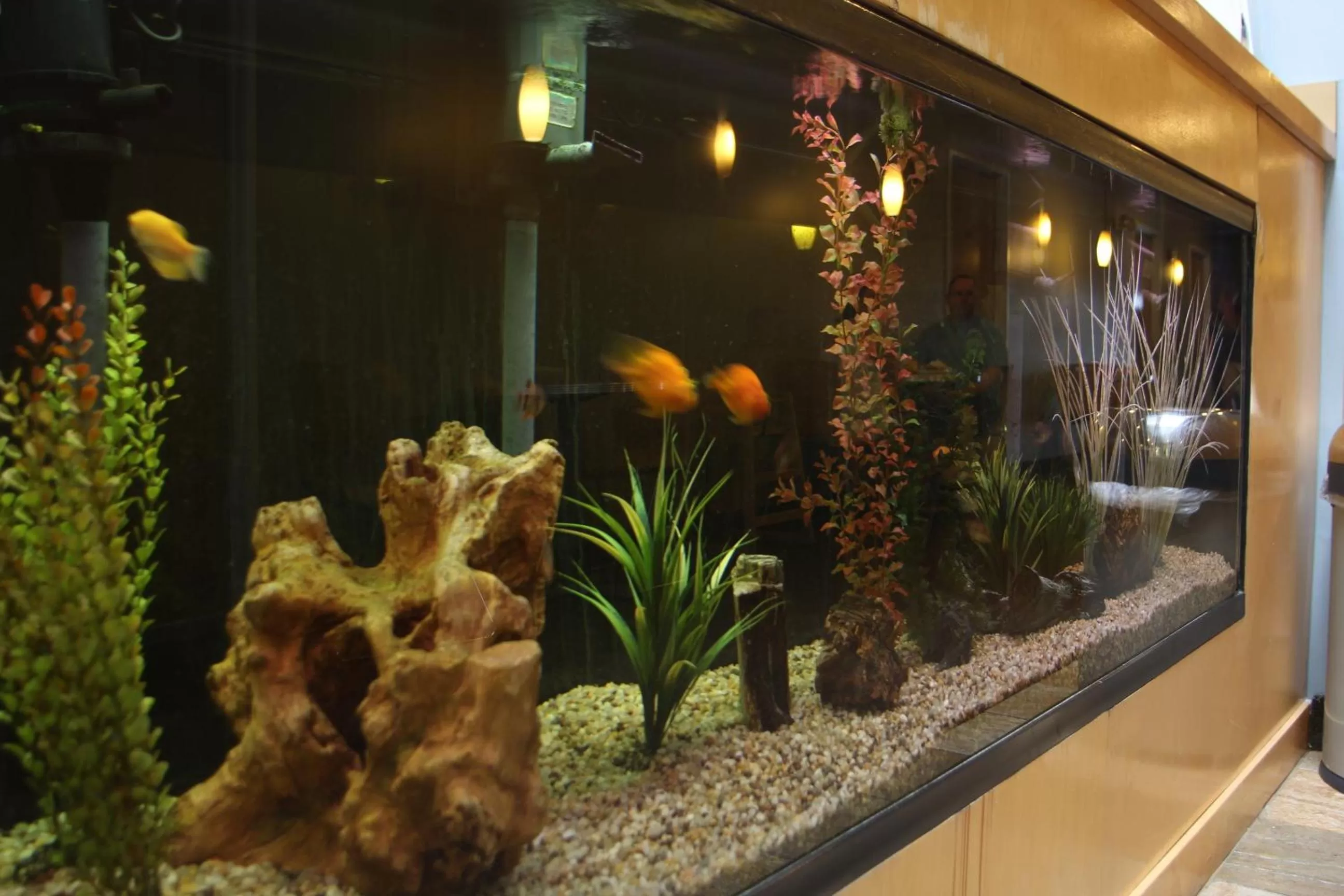 Property building in Weathervane Inn