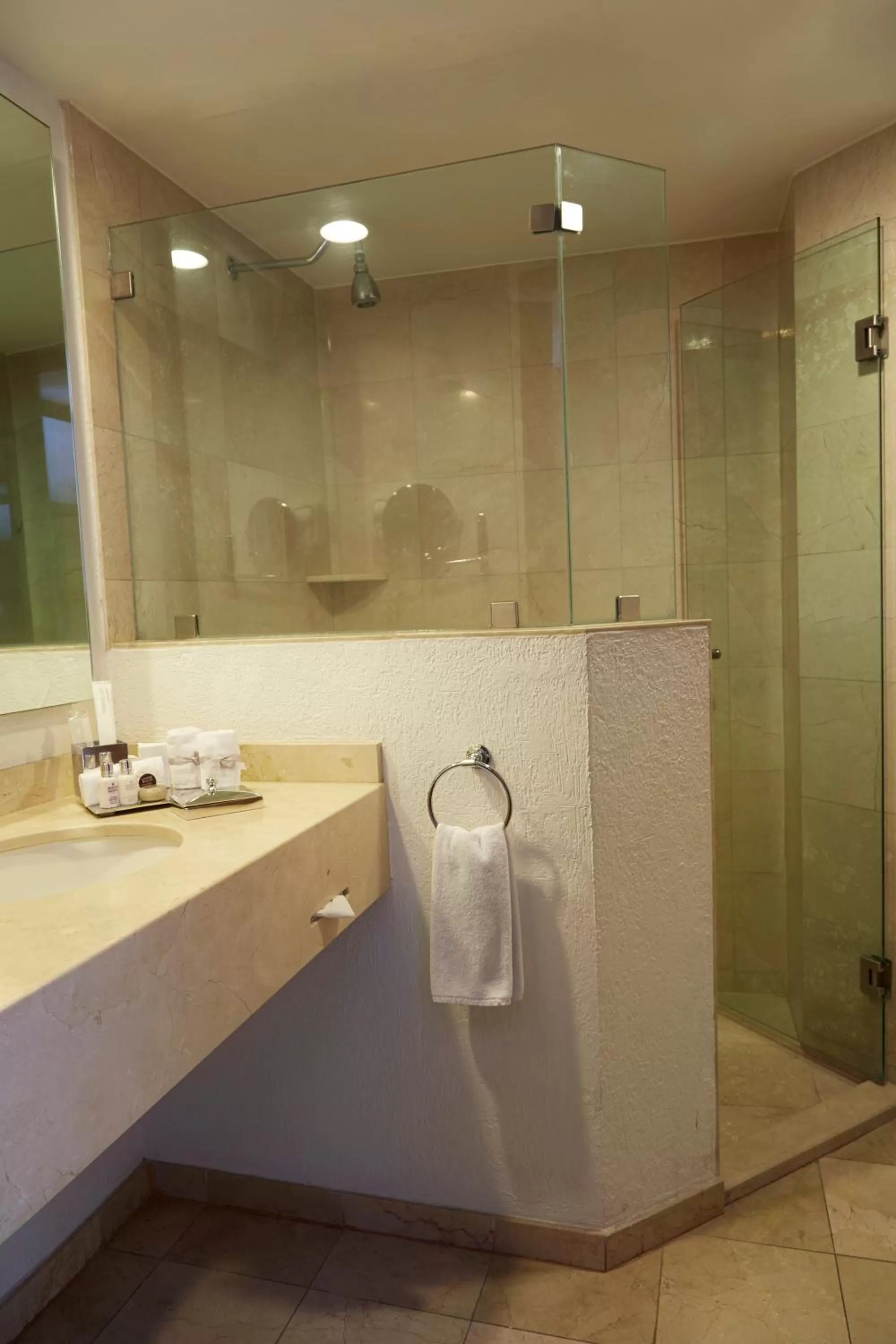 Bathroom in Ejecutivo Express Guadalajara Providencia - Av México