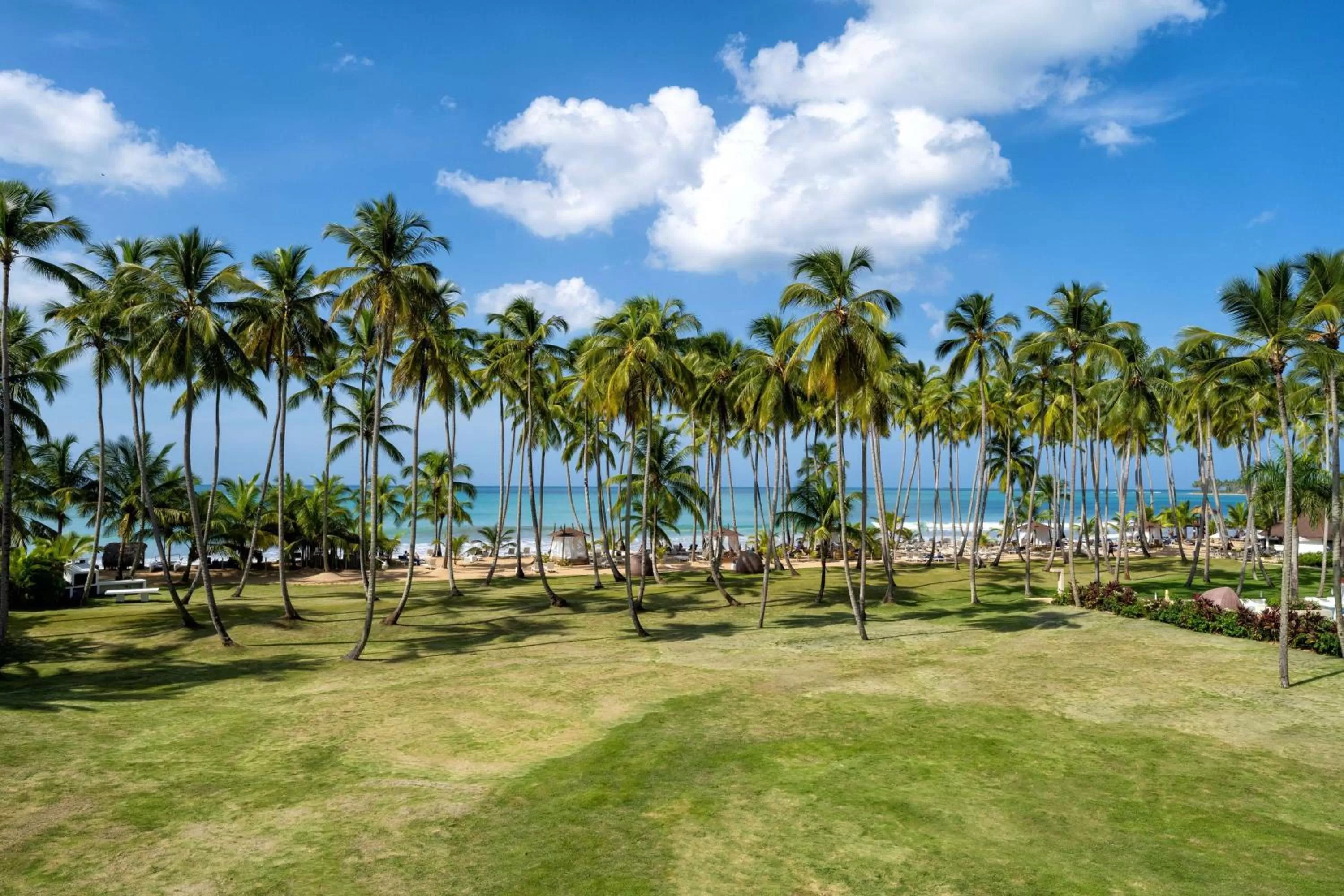 Property building in Viva V Samana by Wyndham, A Trademark Adults All Inclusive