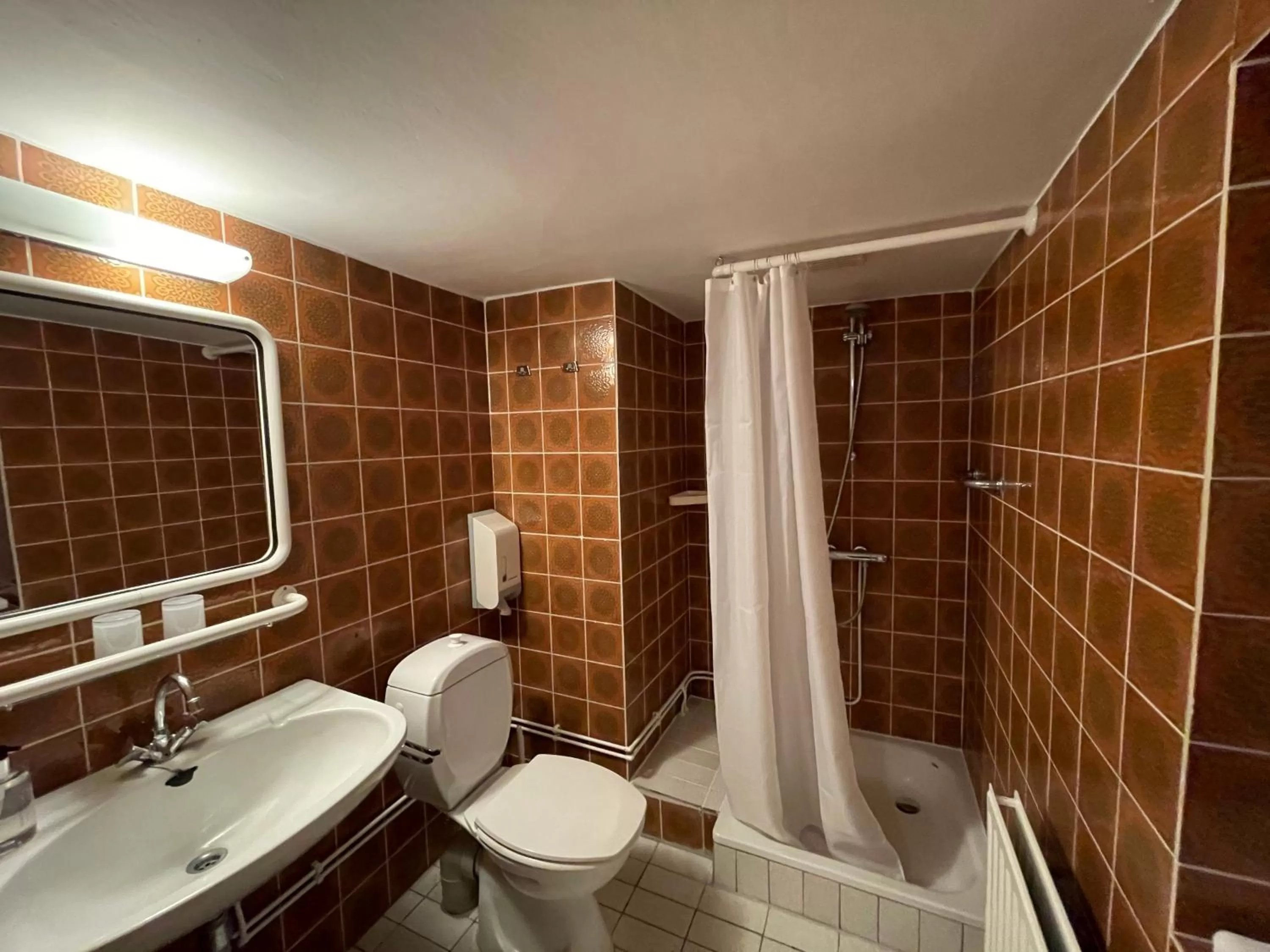 Shower in In den Roden Leeuw van Limburg