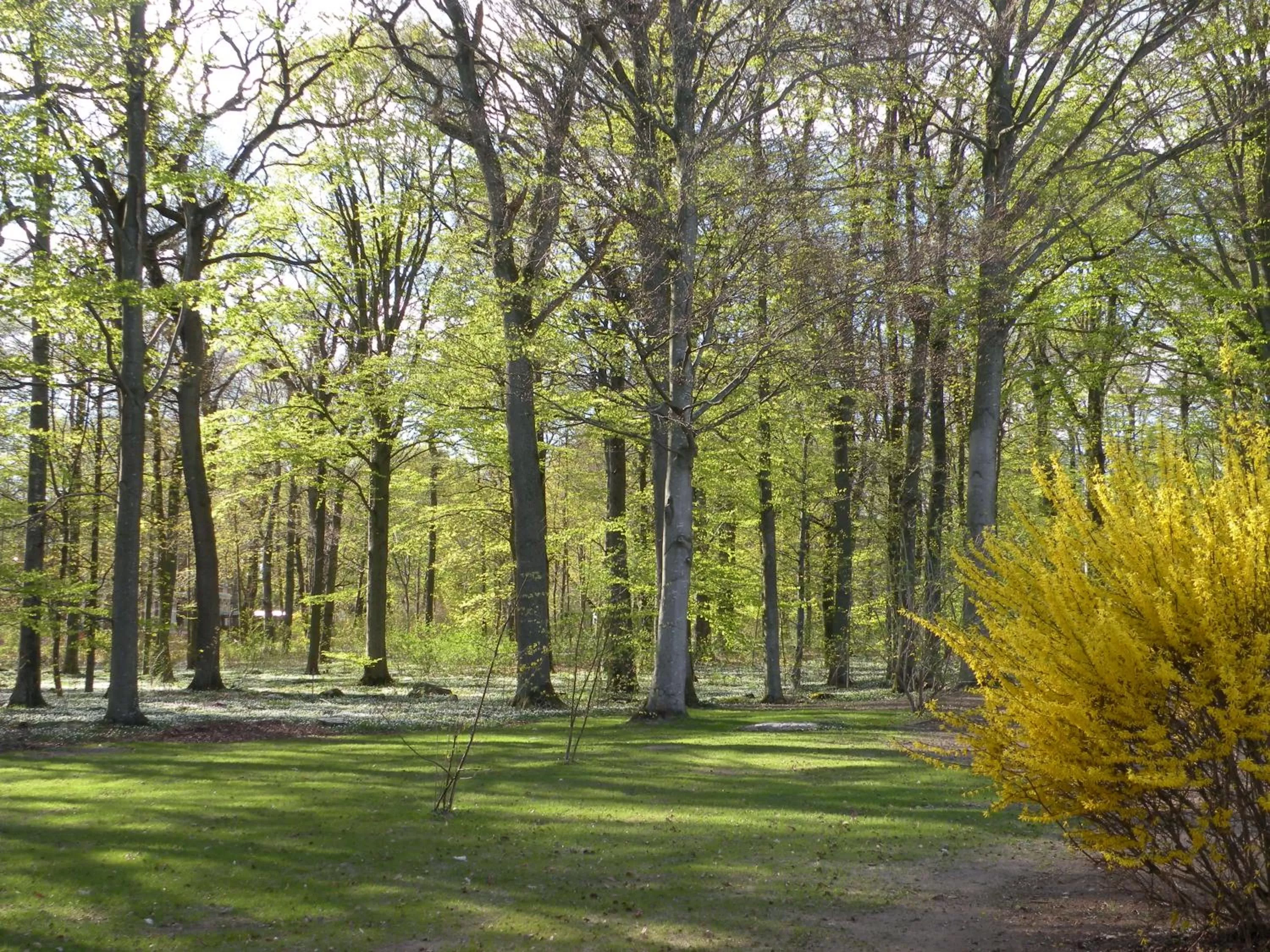 Garden in Best Western Valhall Park Hotell