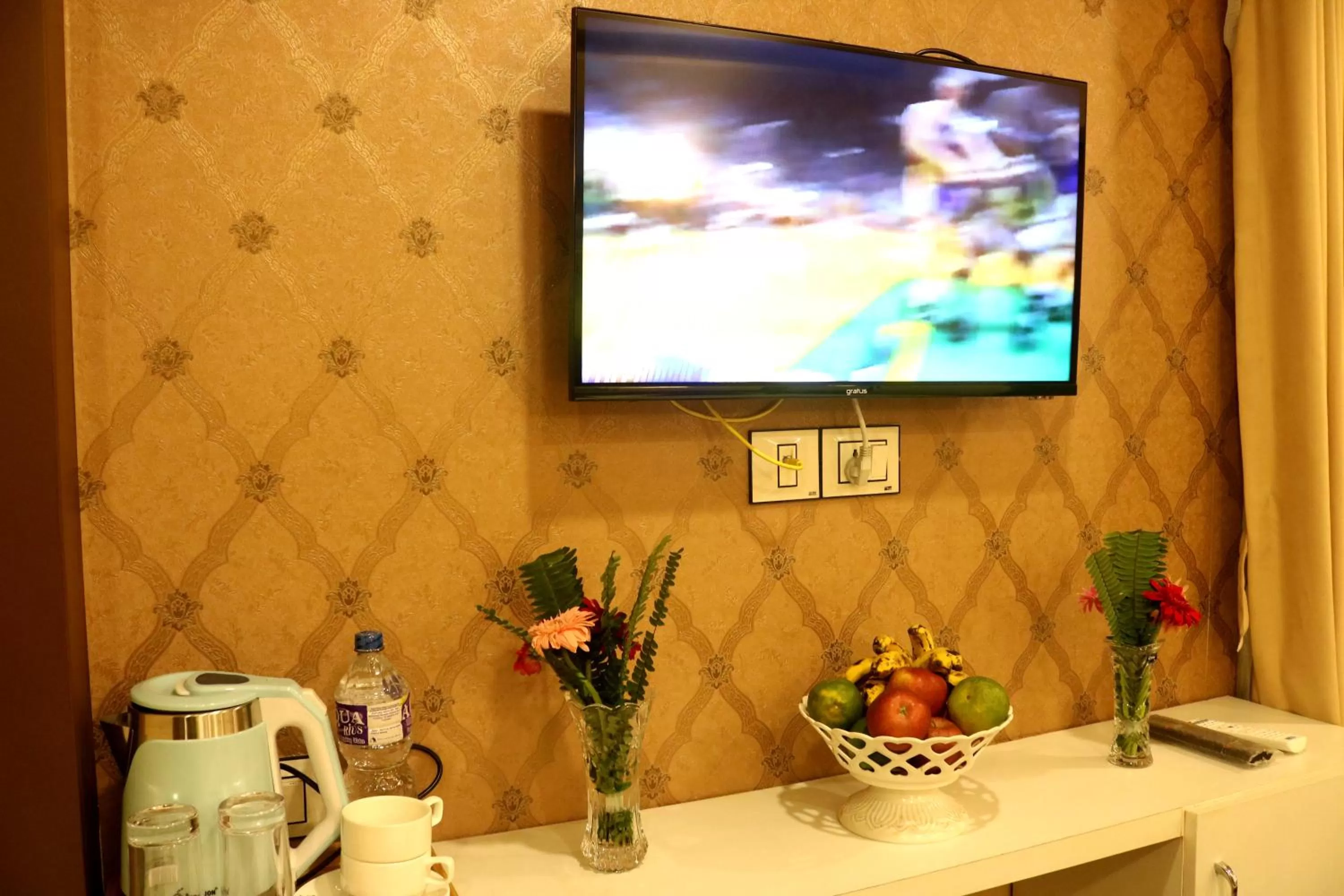 TV and multimedia in Hotel Family Ties Pvt. Ltd.