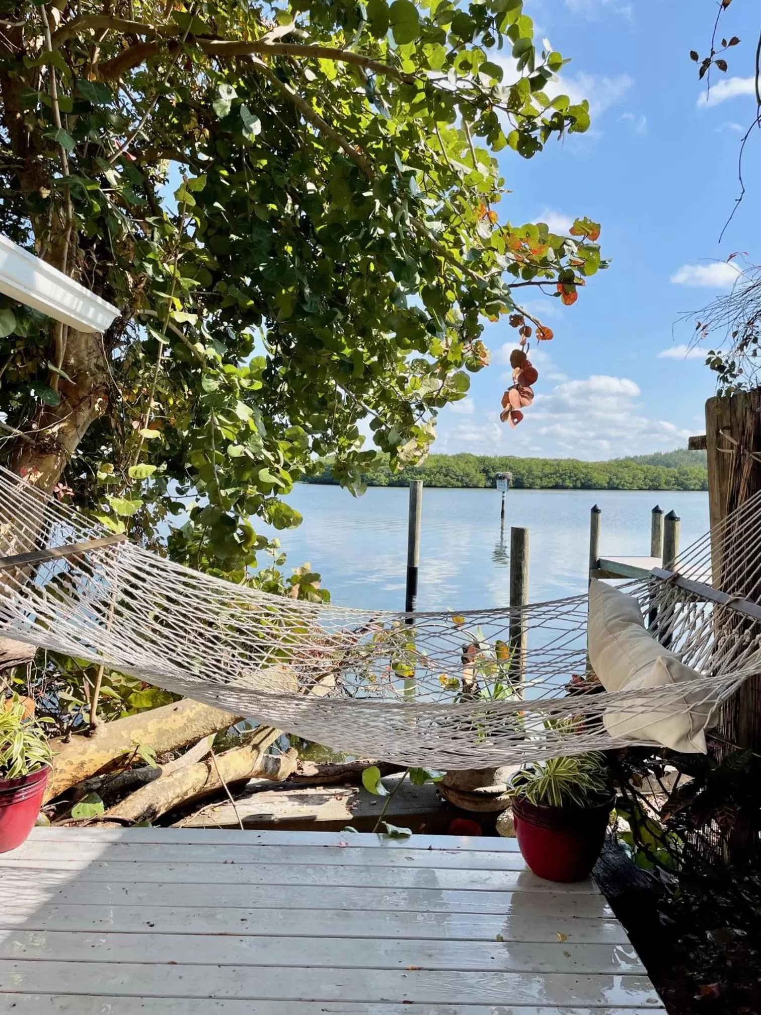 Patio in Turtle Beach Resort