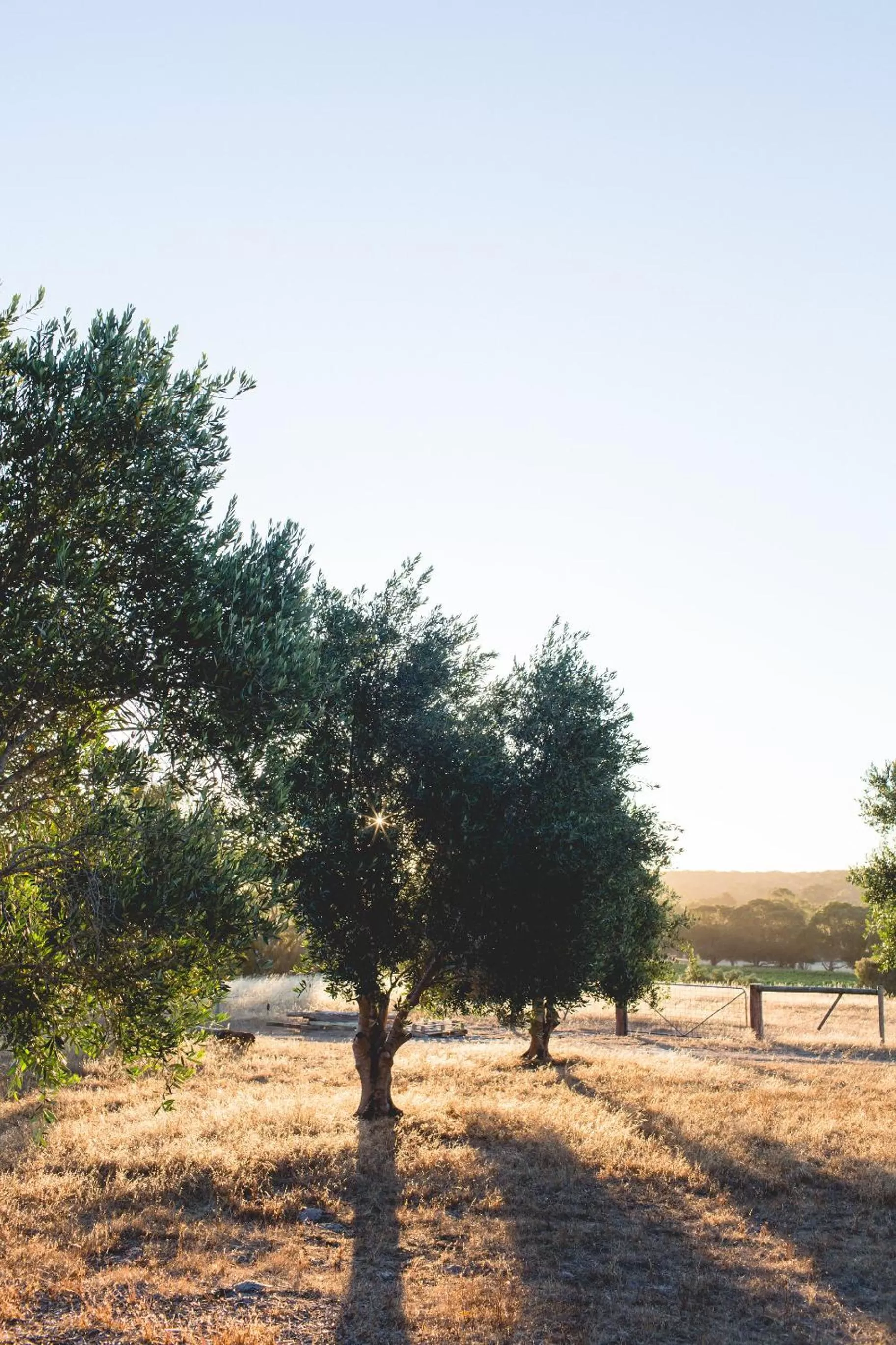 Natural landscape in Empire Spa Retreat