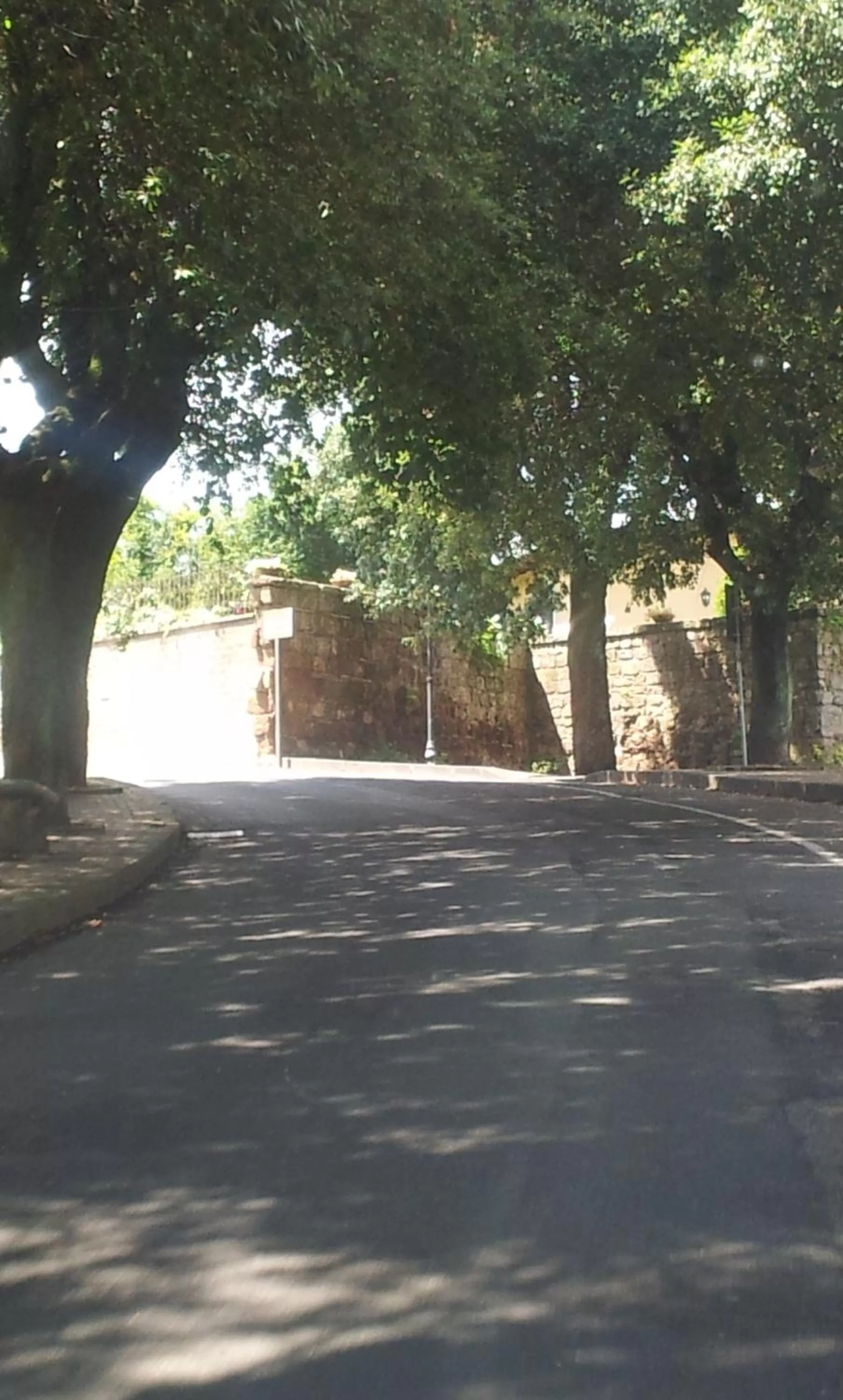 Street view, Other Activities in Nerone's - Sutri Bed & Dinner