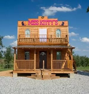 Property Building in Diamonds Old West