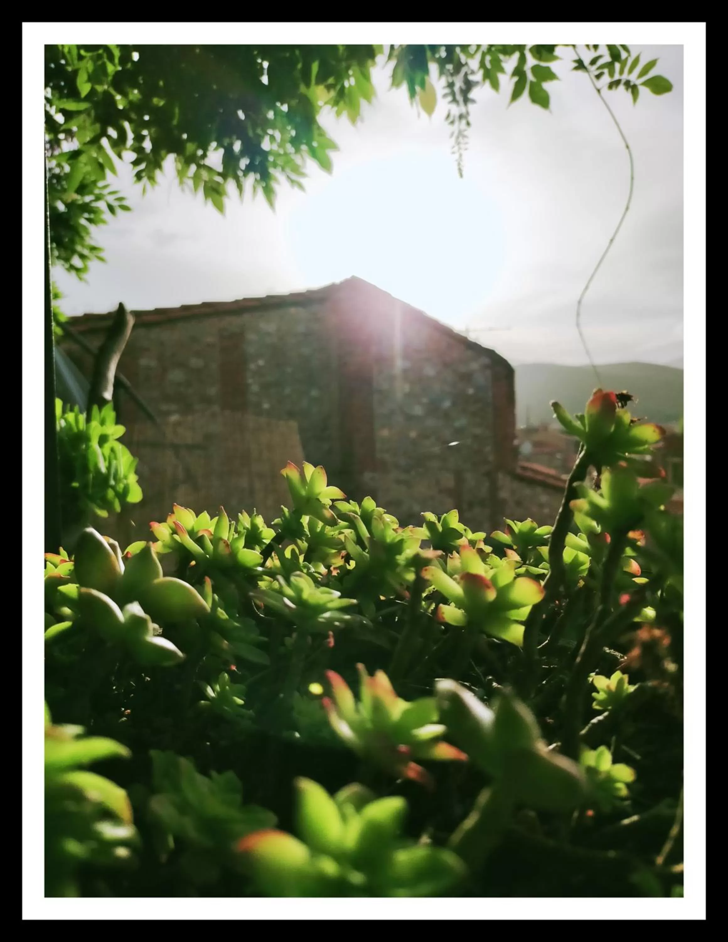 Balcony/Terrace in La Belle D'Âme - Guest House