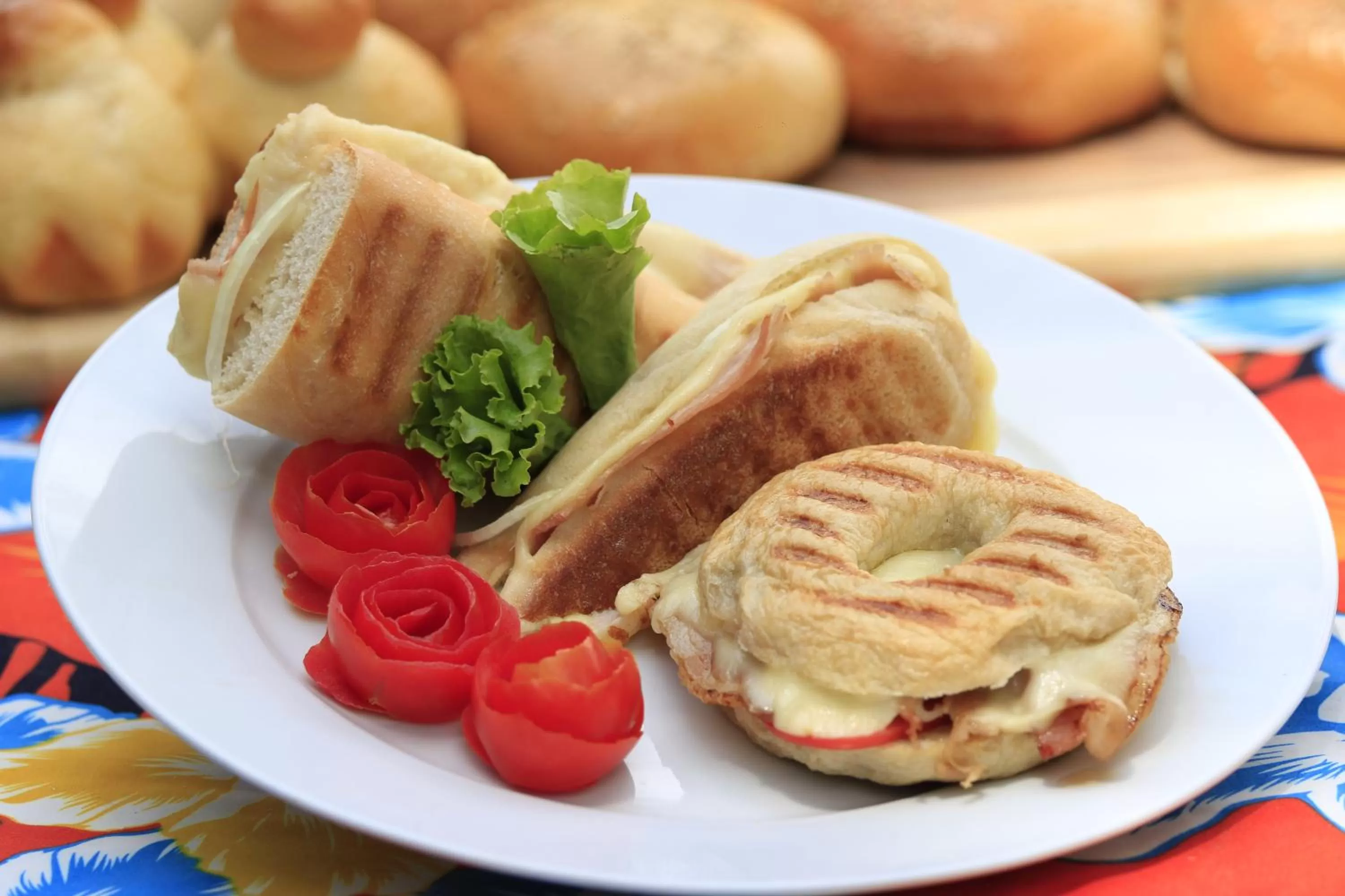 Discovery Island Resort