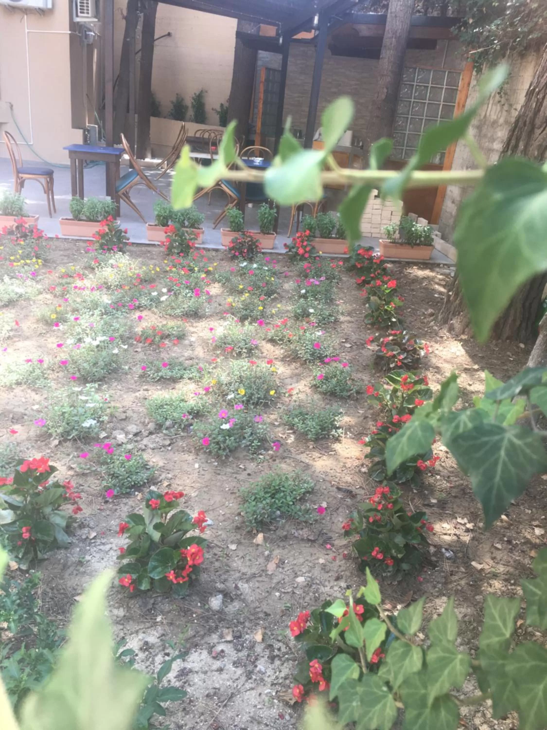 Garden in La casa di nonno Giulio