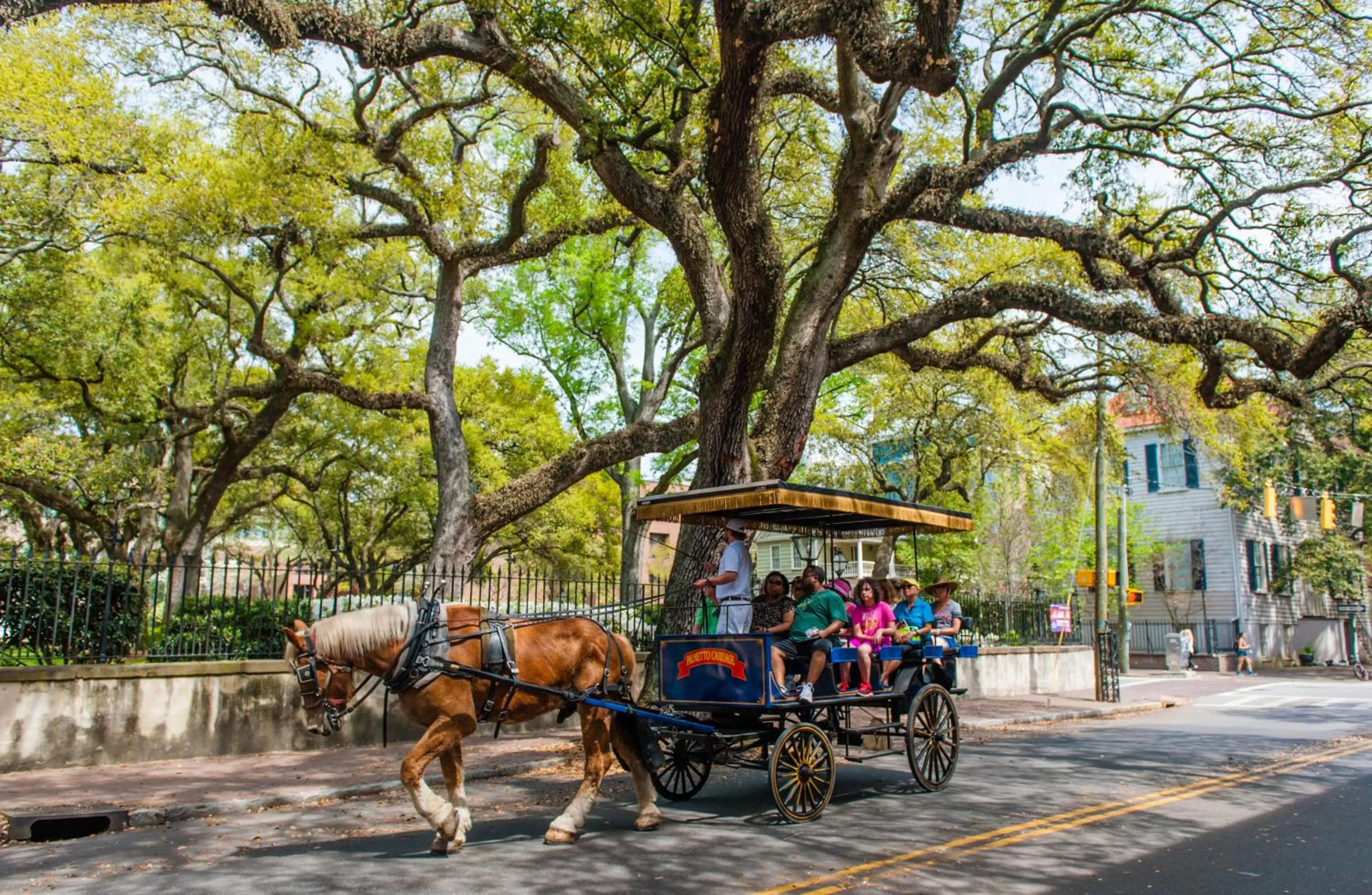 Nearby landmark in Candlewood Suites Charleston-Northwoods by IHG