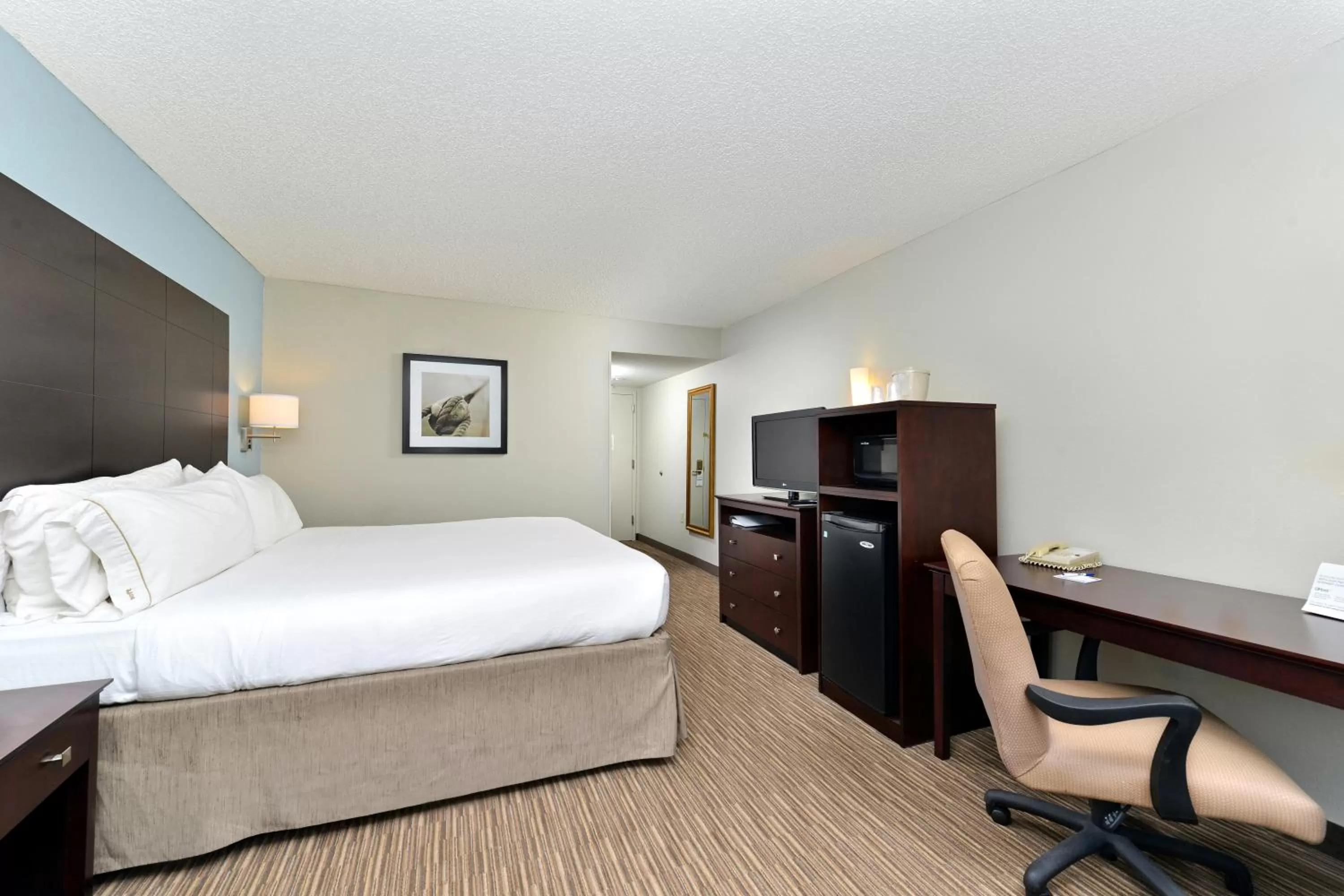 Holiday Inn Express Hotel & Suites Tampa-Rocky Point Island by IHG