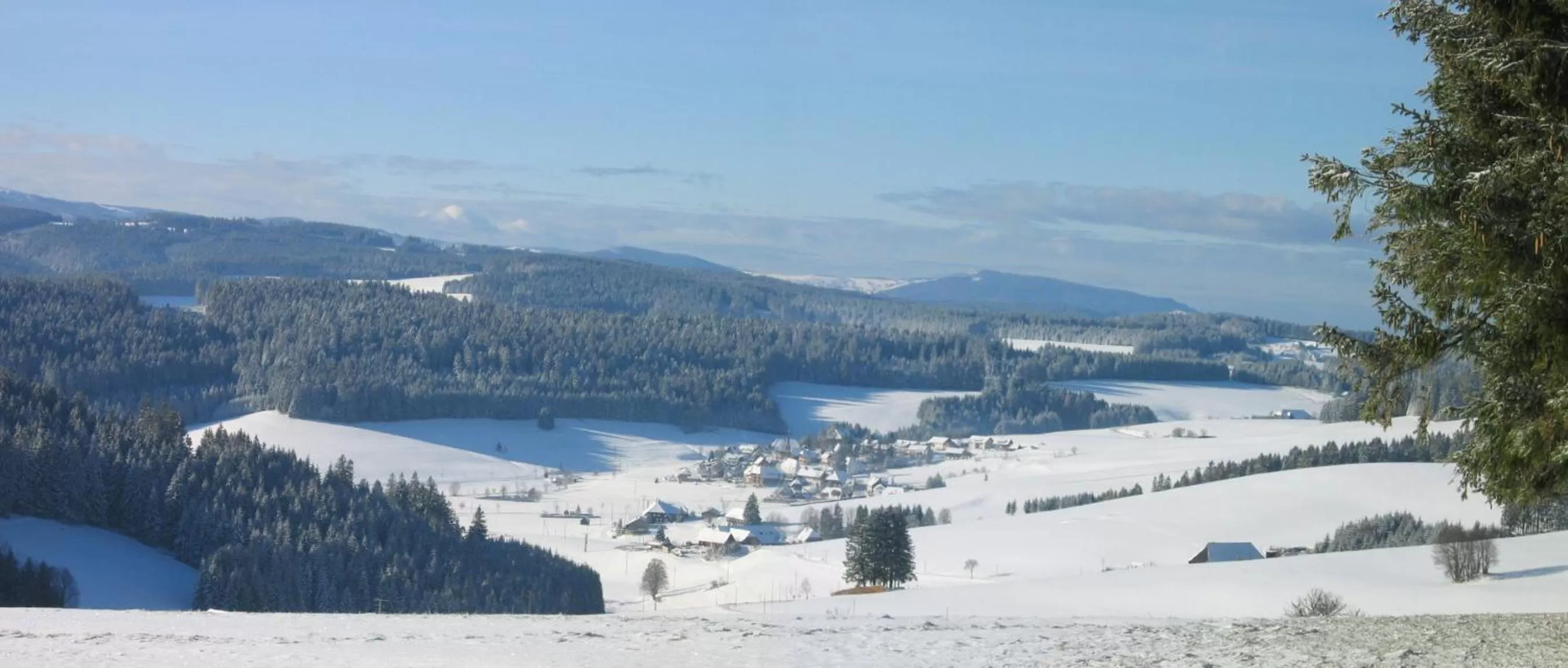 Natural landscape in ZUR TRAUBE Schwarzwaldhotel & Restaurant am Titisee