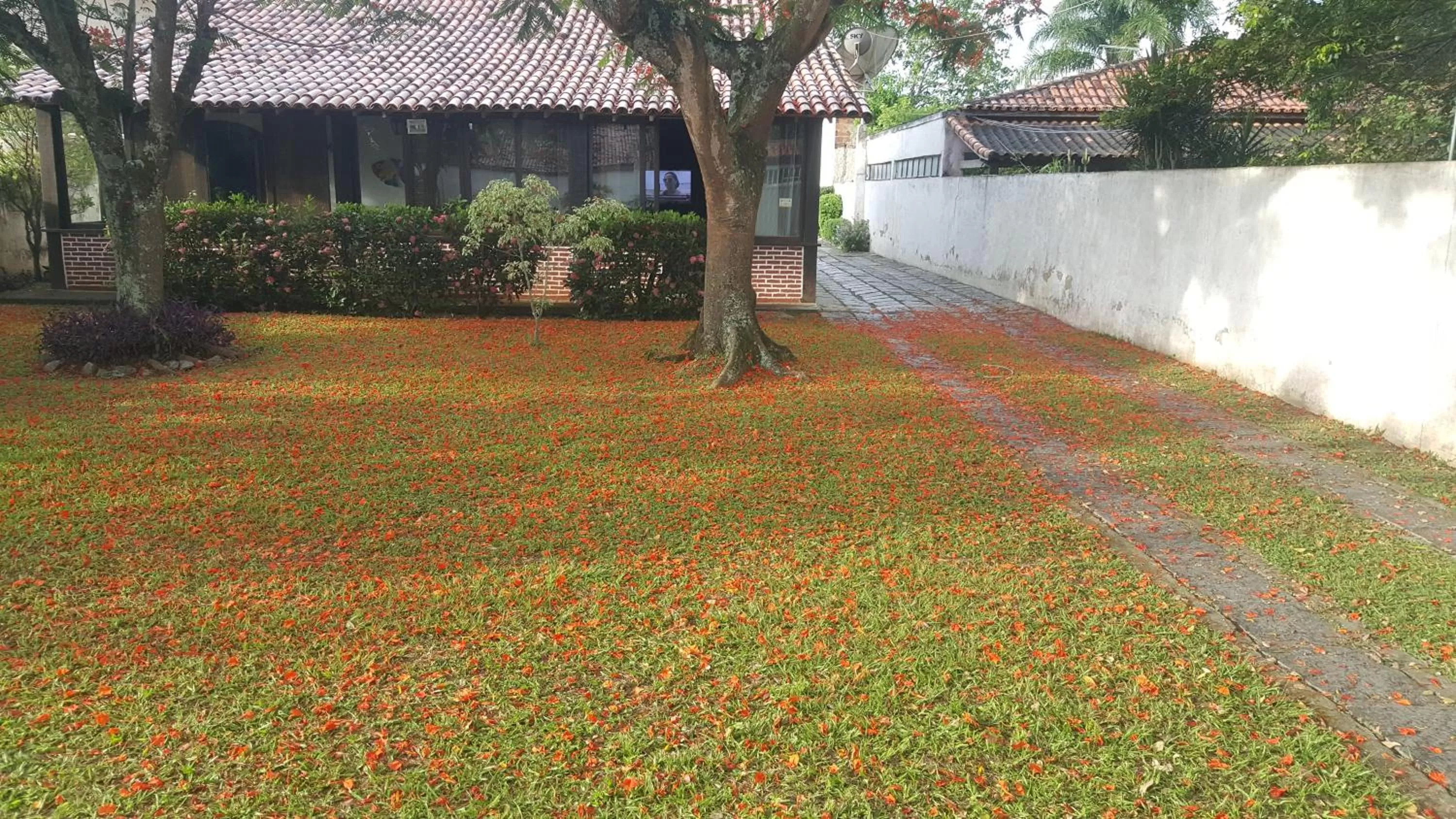 Pousada Solar Tropical