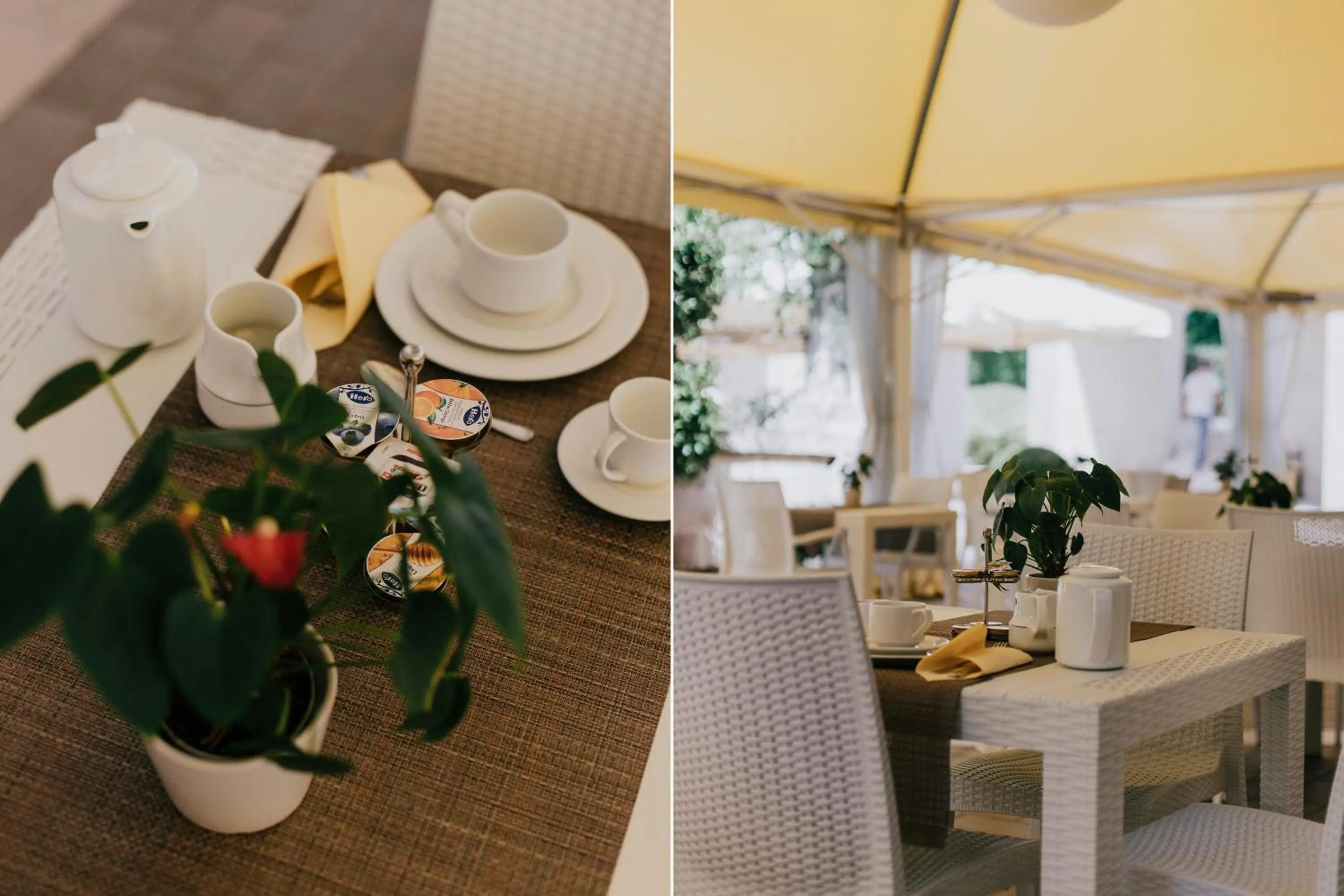 Breakfast in Hotel Del Campo