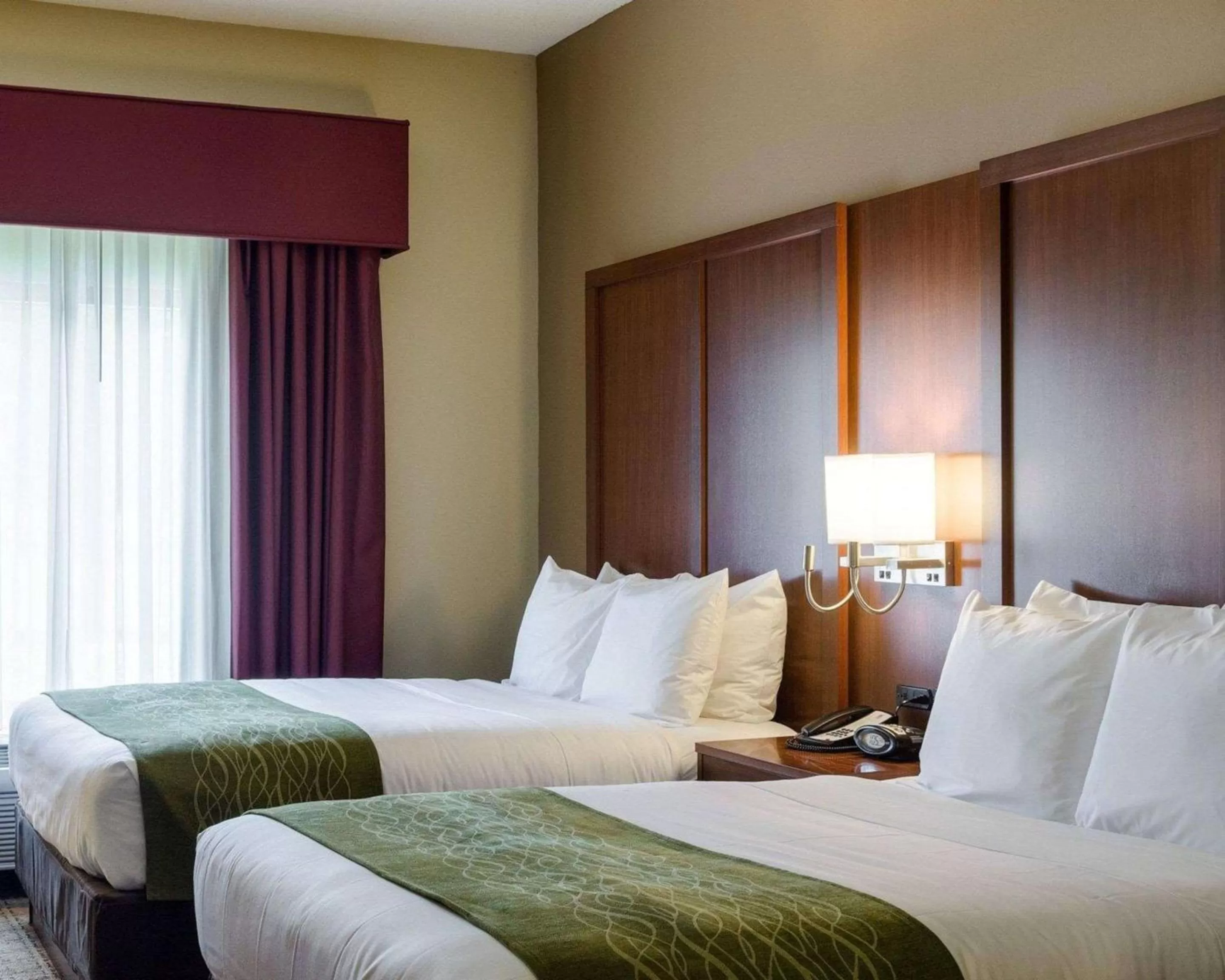 Photo of the whole room, Bed in Comfort Suites Starkville