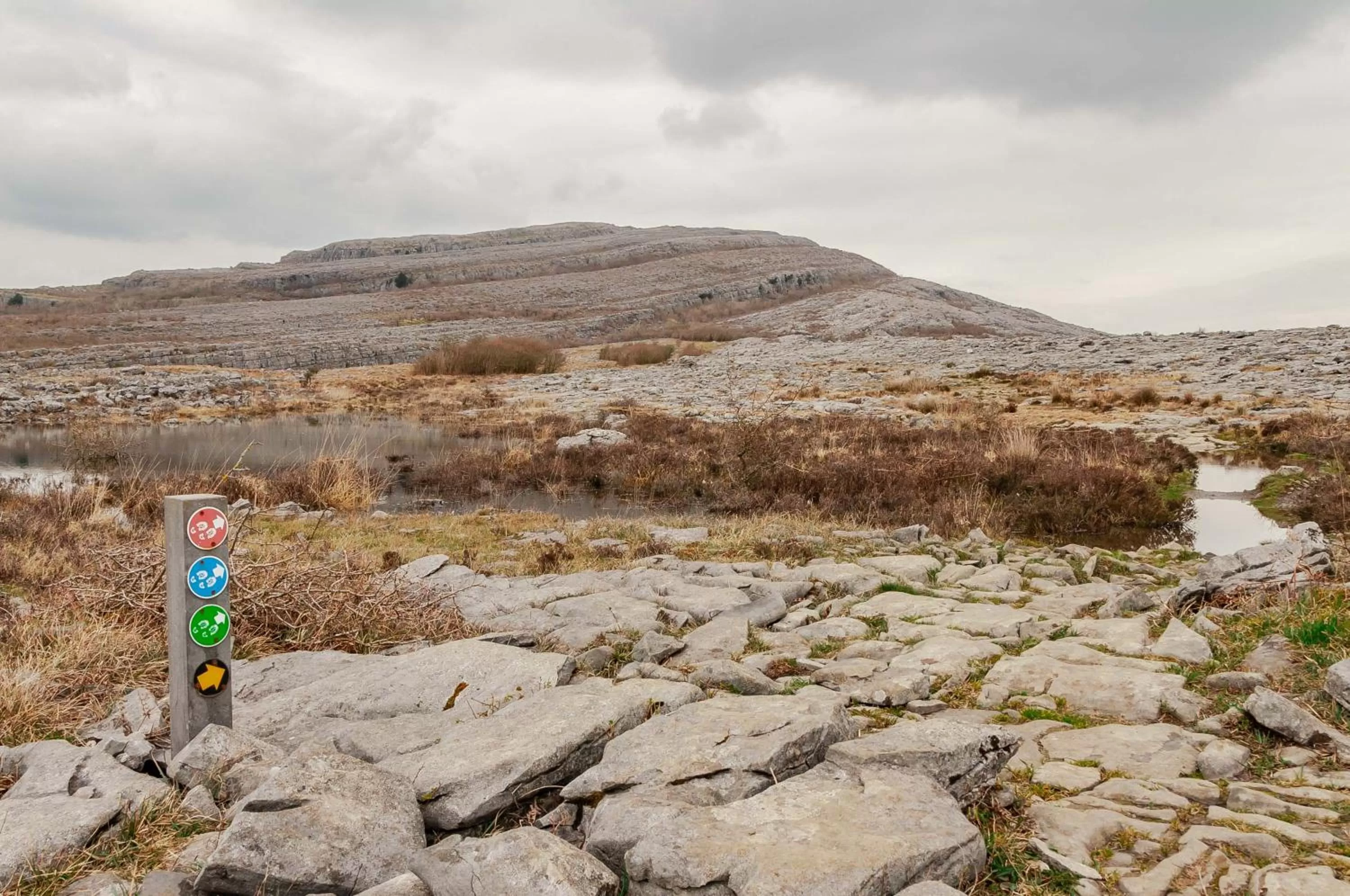 Nearby landmark in Hotel Woodstock Ennis