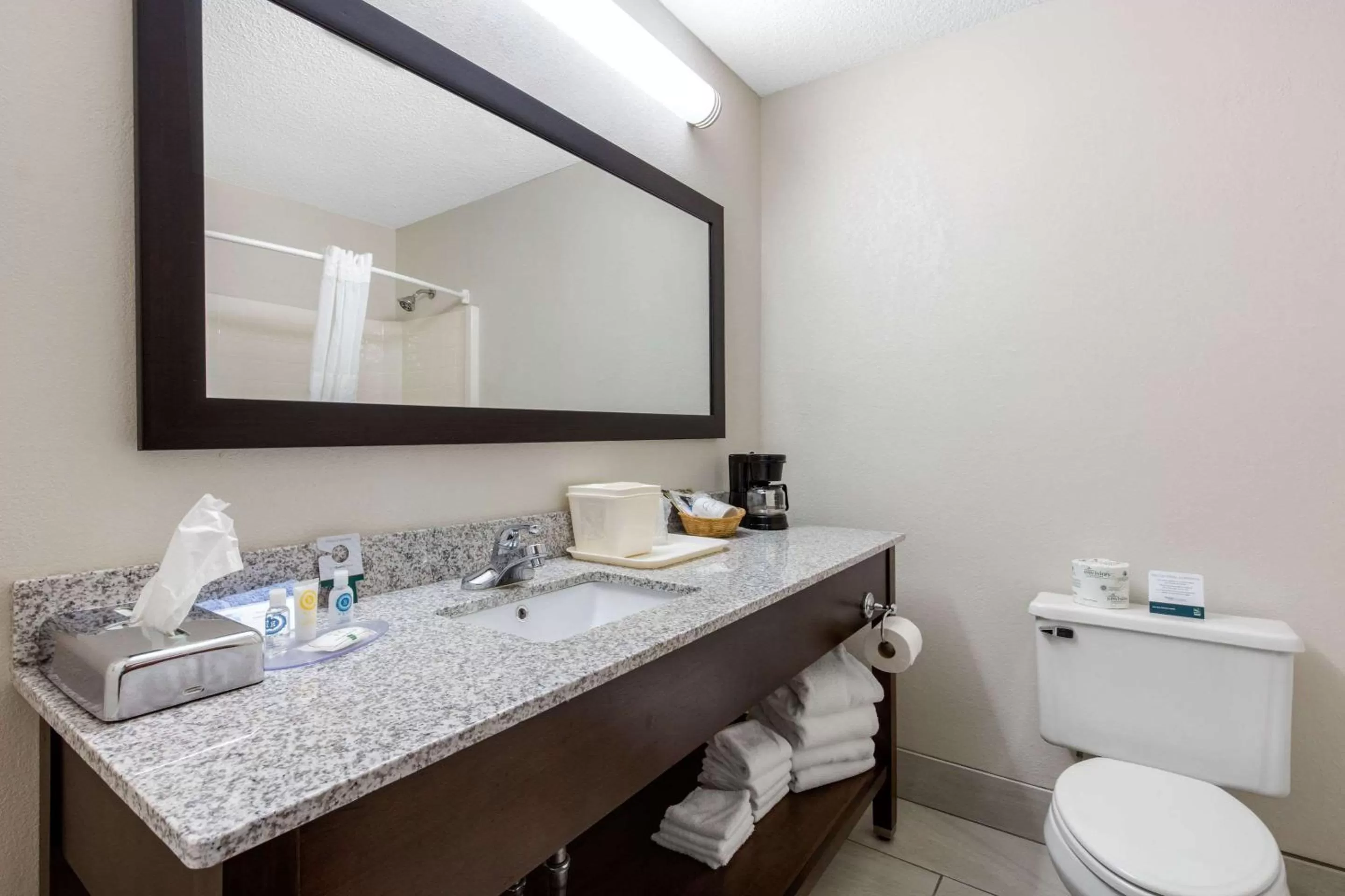 Bathroom in Quality Inn & Suites Mountain Home North