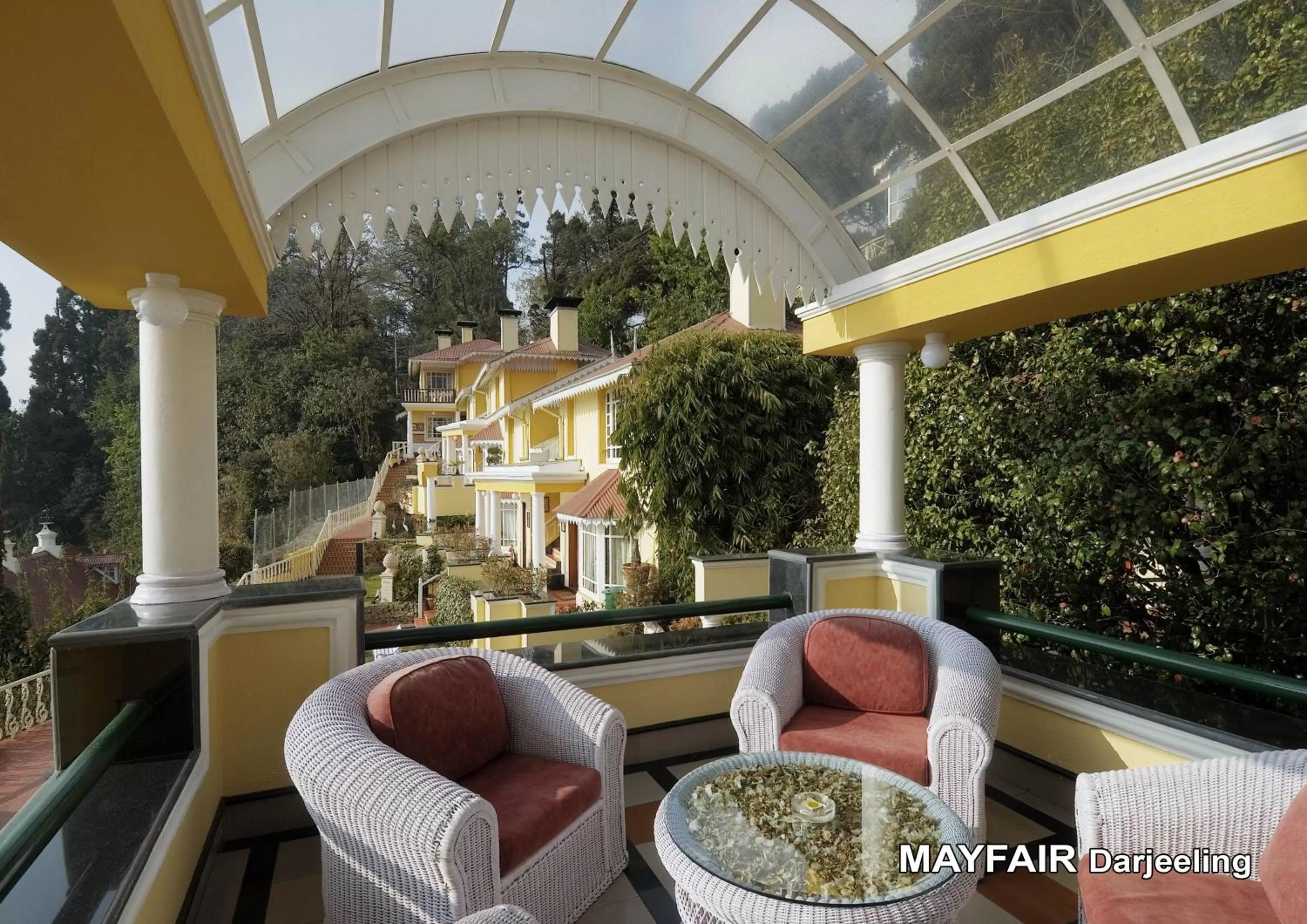 Day in Mayfair Darjeeling