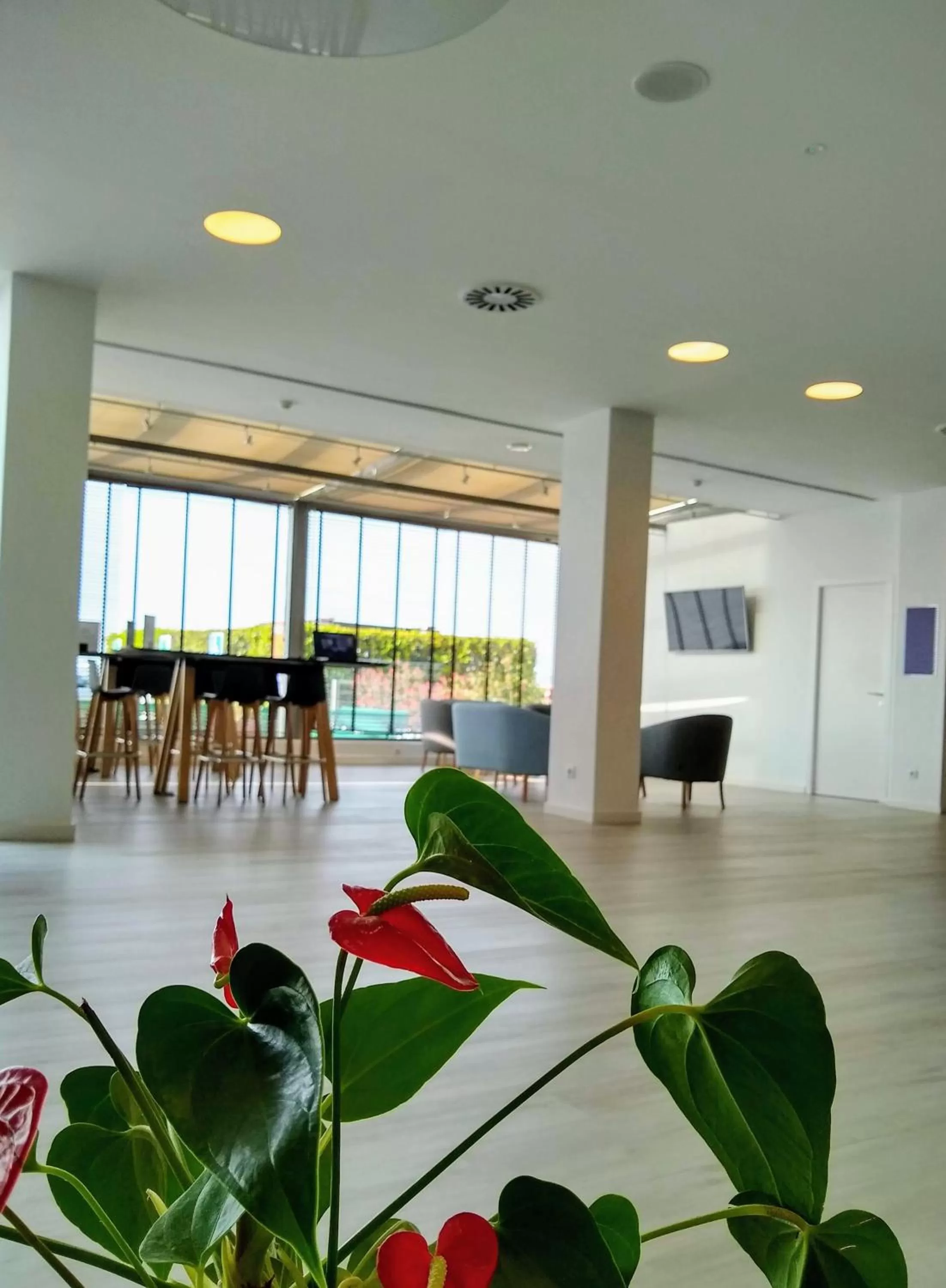 Communal lounge/ TV room in Augusta Barcelona Vallès