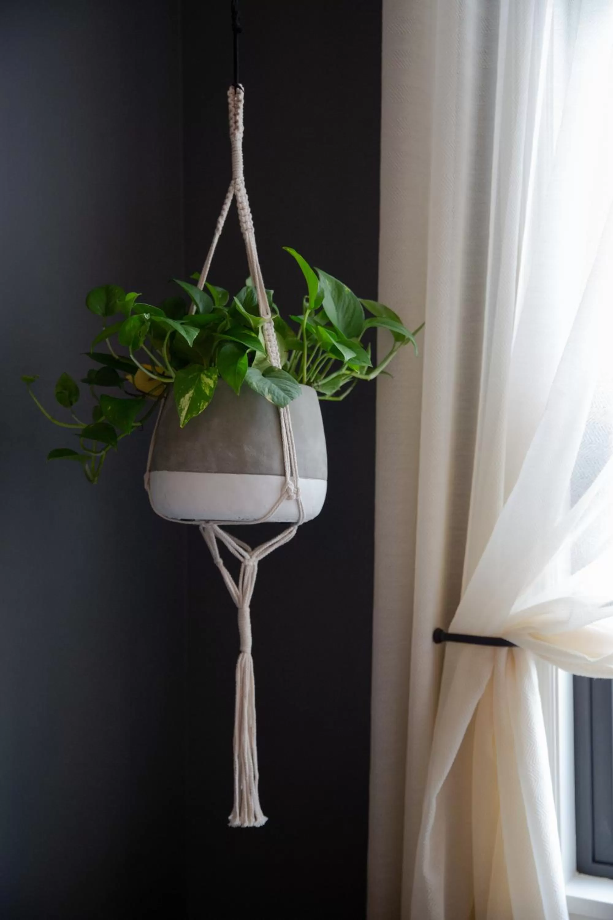 Decorative detail in Atticus Hotel