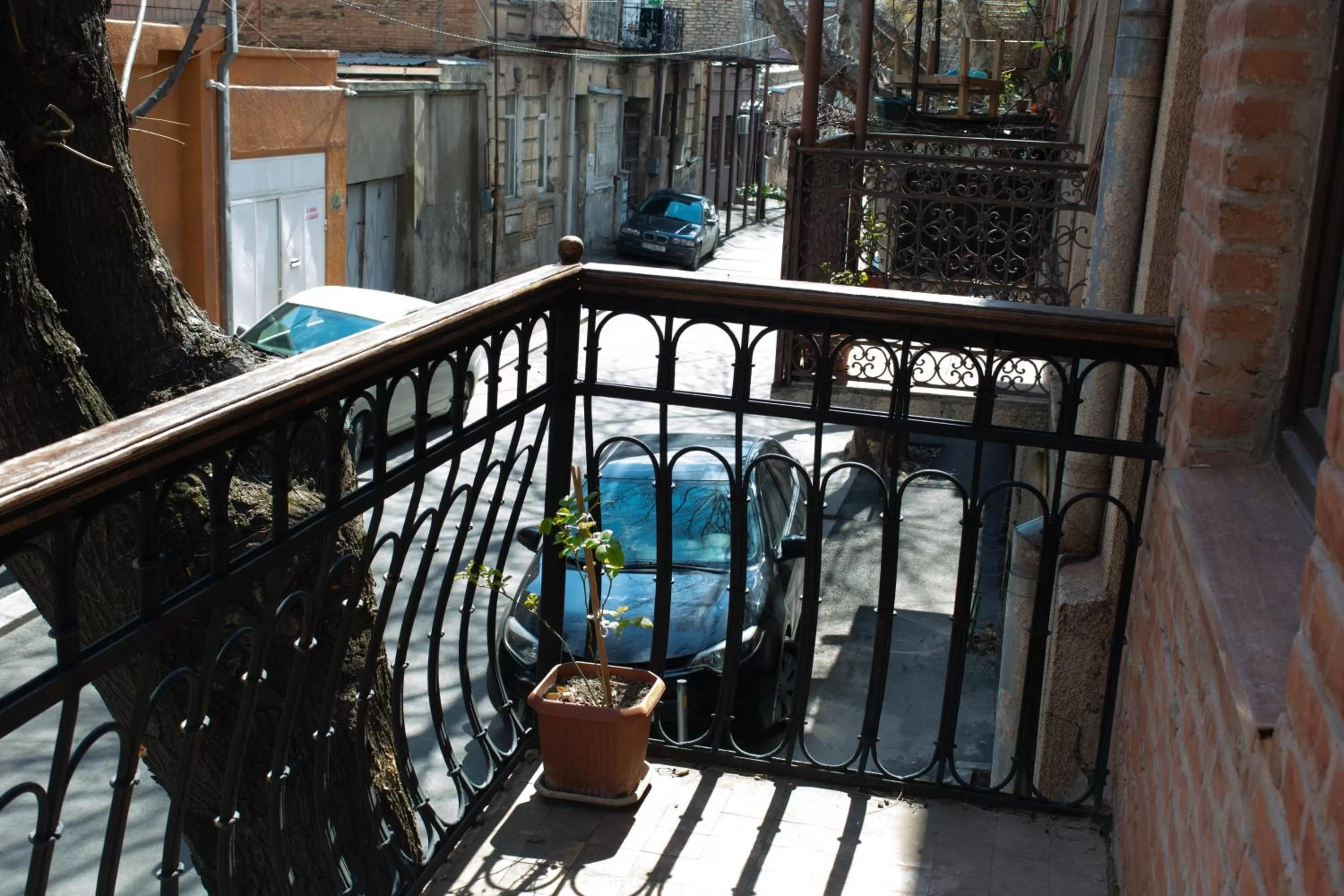 Balcony/Terrace in Sunflower Hotel