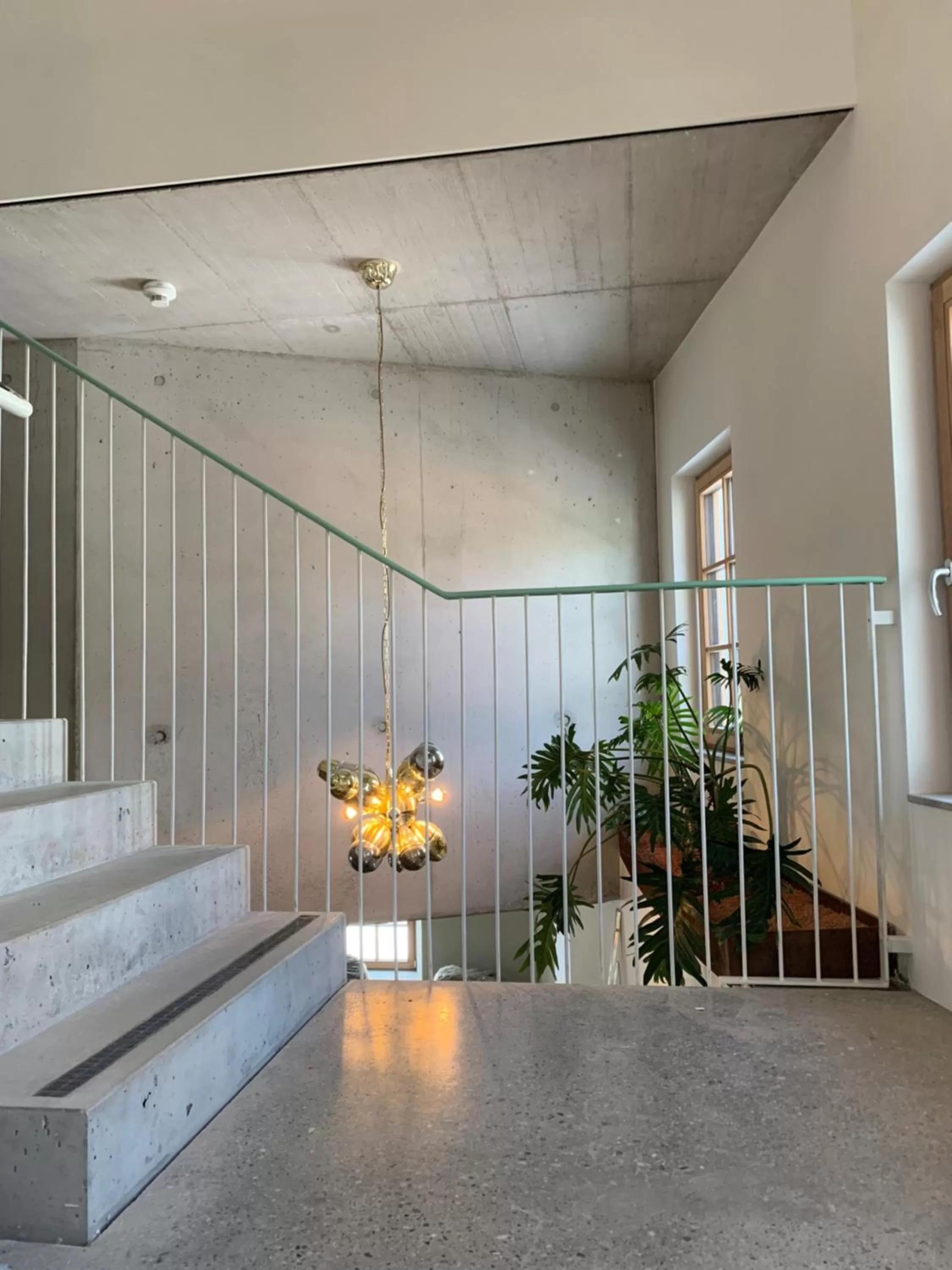 Lobby or reception in pradl elf my- apartment