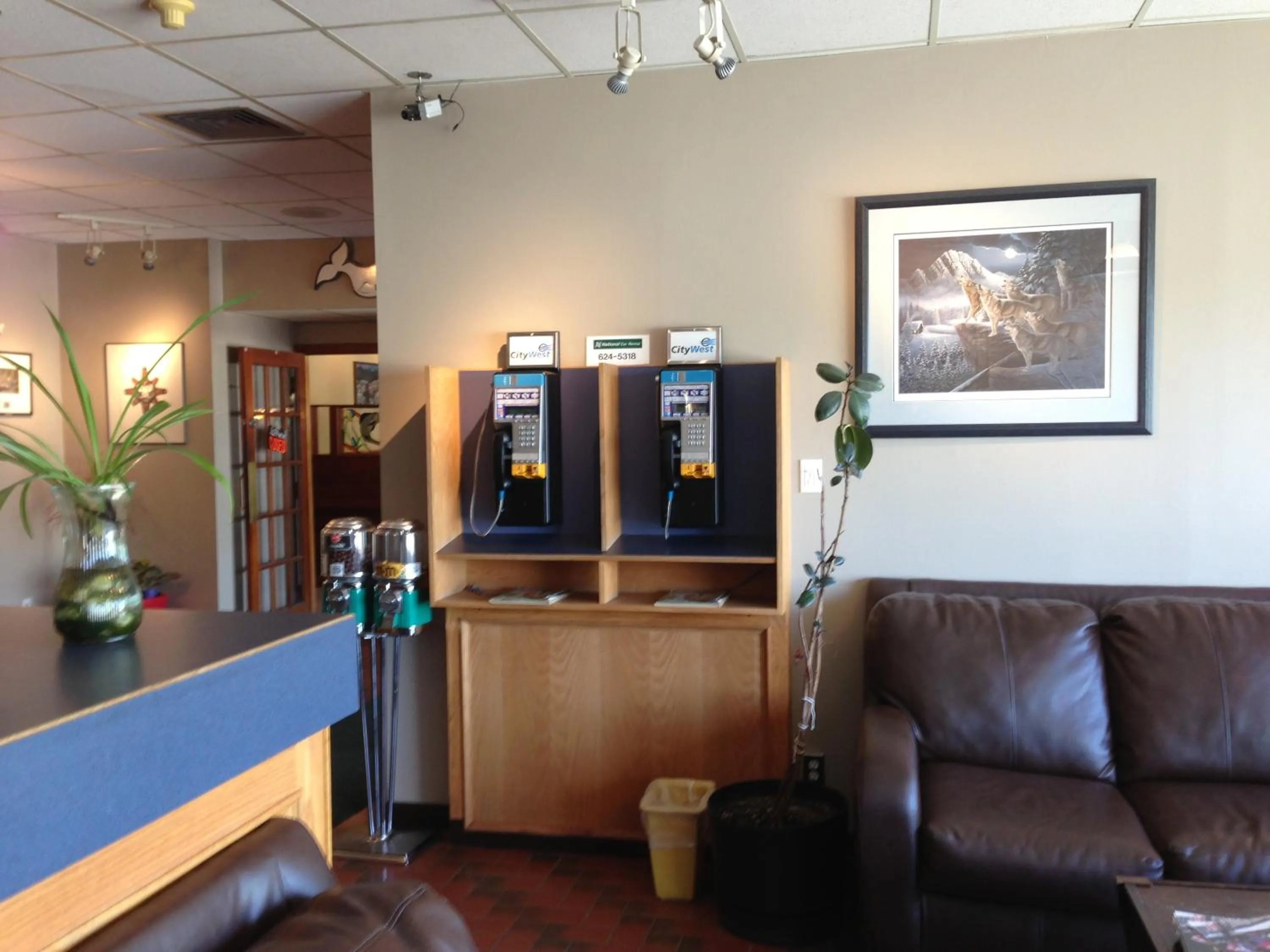 Lobby or reception in Moby Dick Inn