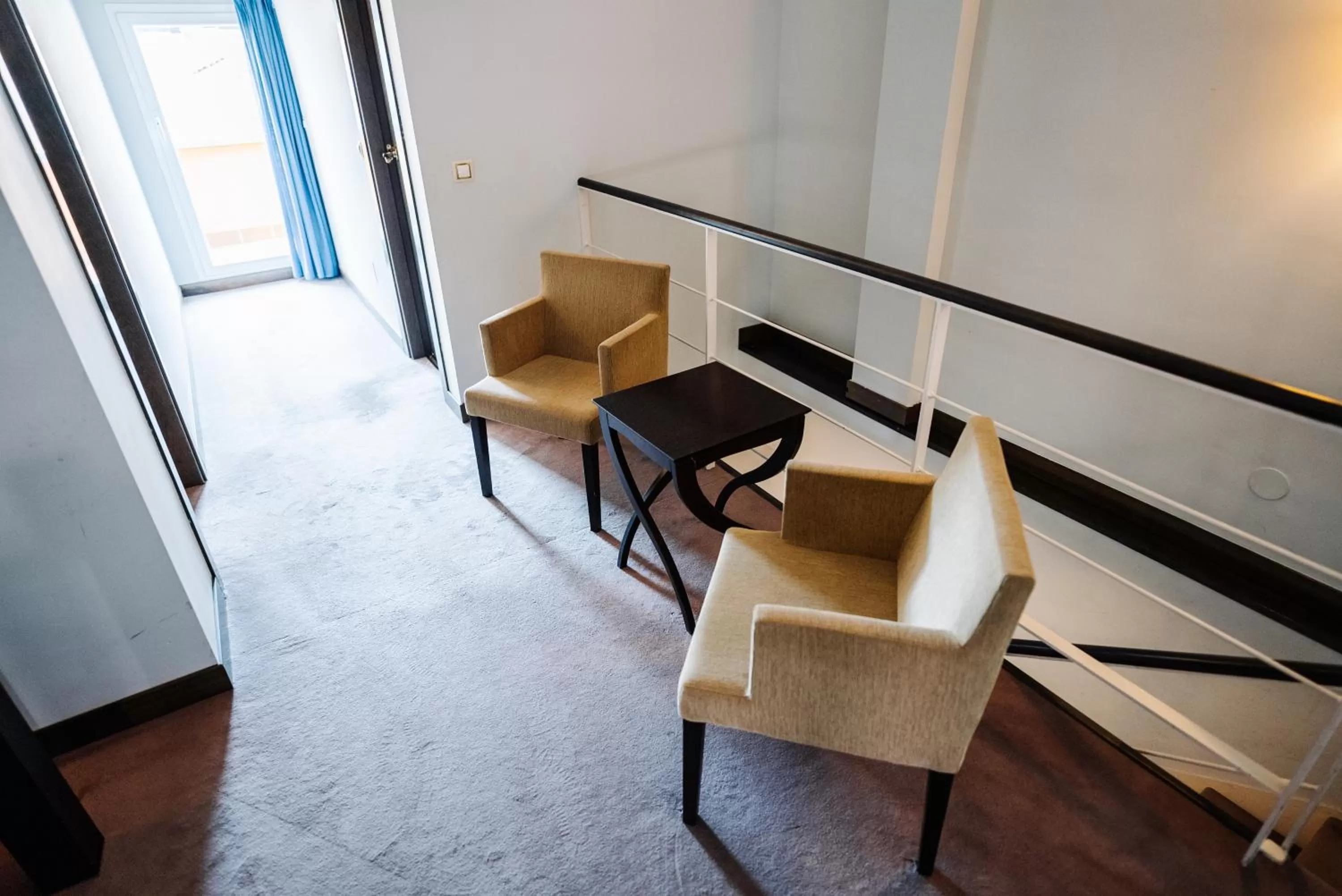 RICE Palacio de los Blasones