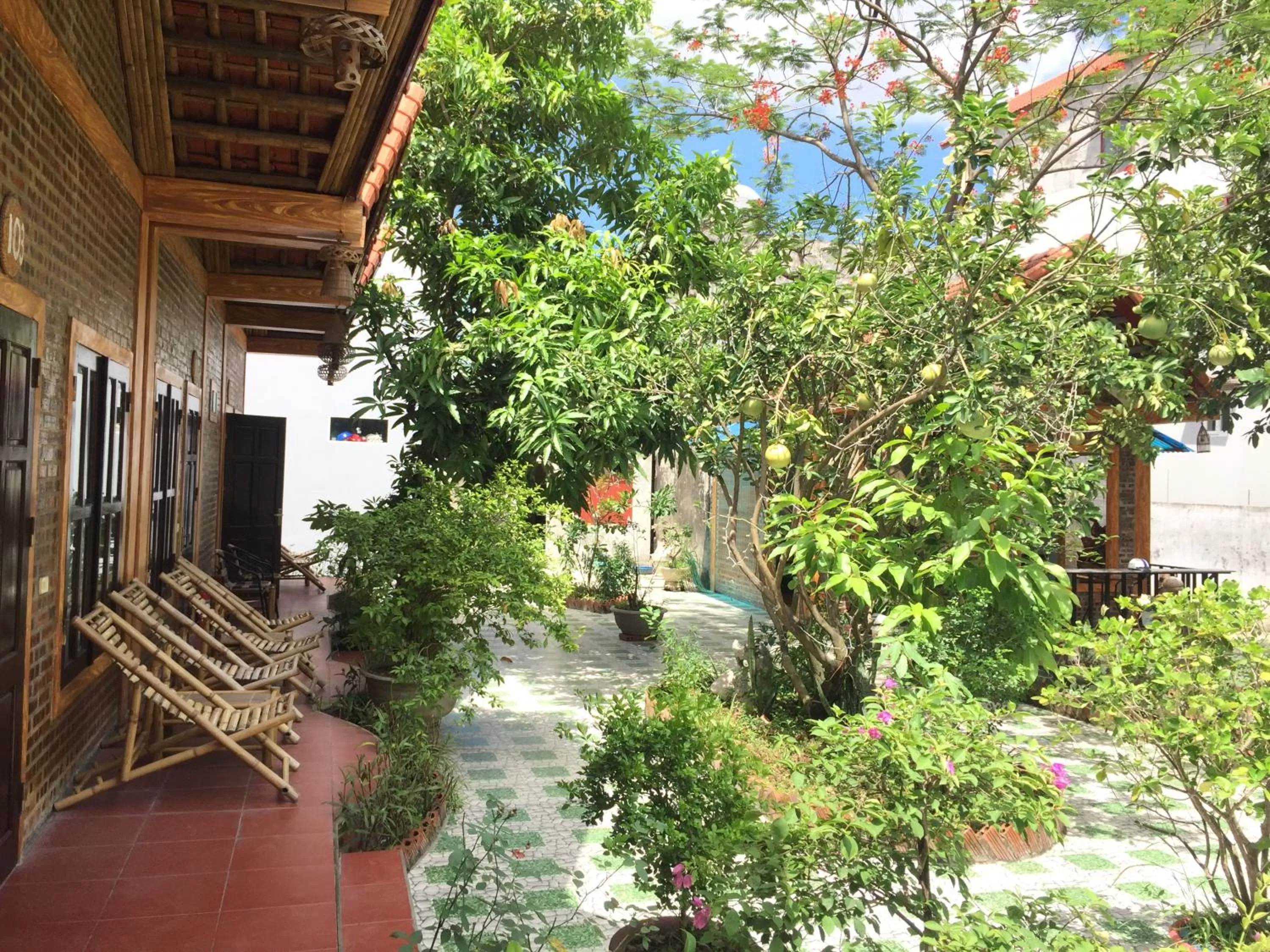 Day in Tam Coc Vinh Thinh Homestay