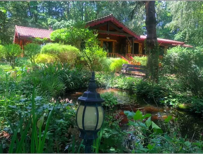 Garden in Chambre d'hôte txaleta (le Chalet)